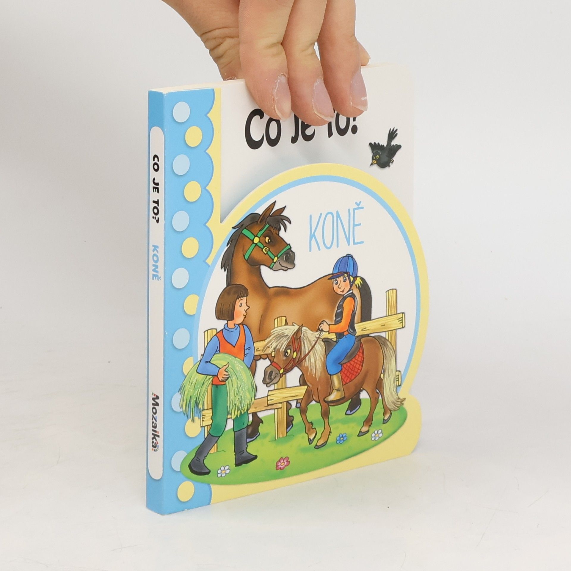 Various authors Co je to? Koně