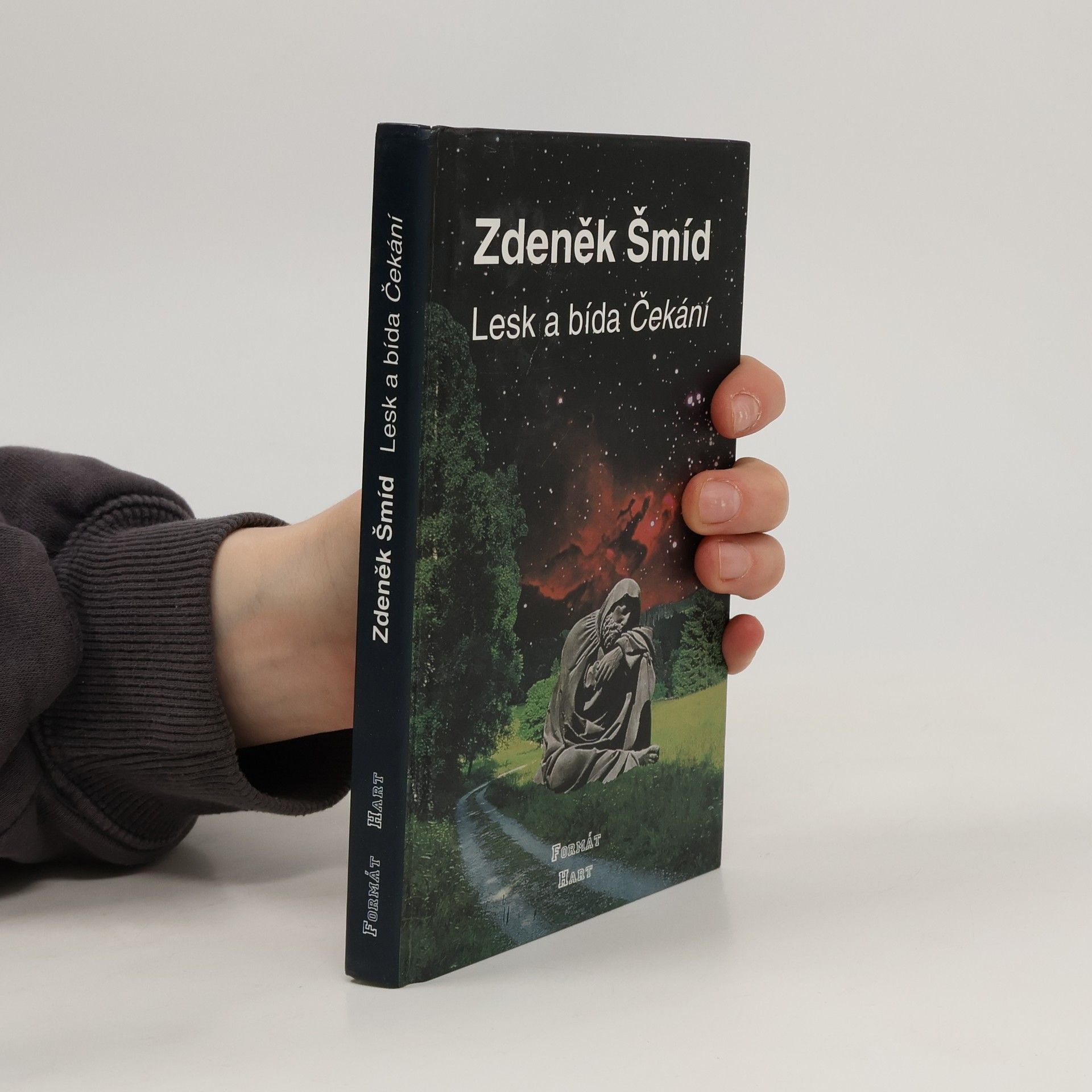 Zdeněk Šmíd Lesk a bída Čekání