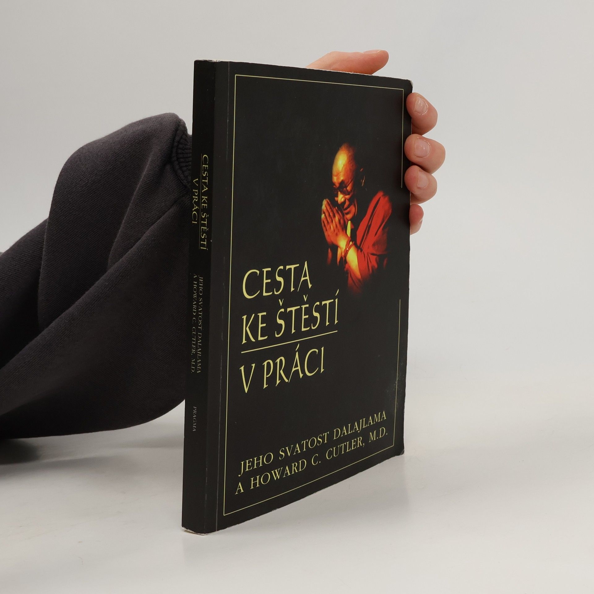 Bstan\'dzinrgyamtsho Cesta ke štěstí v práci