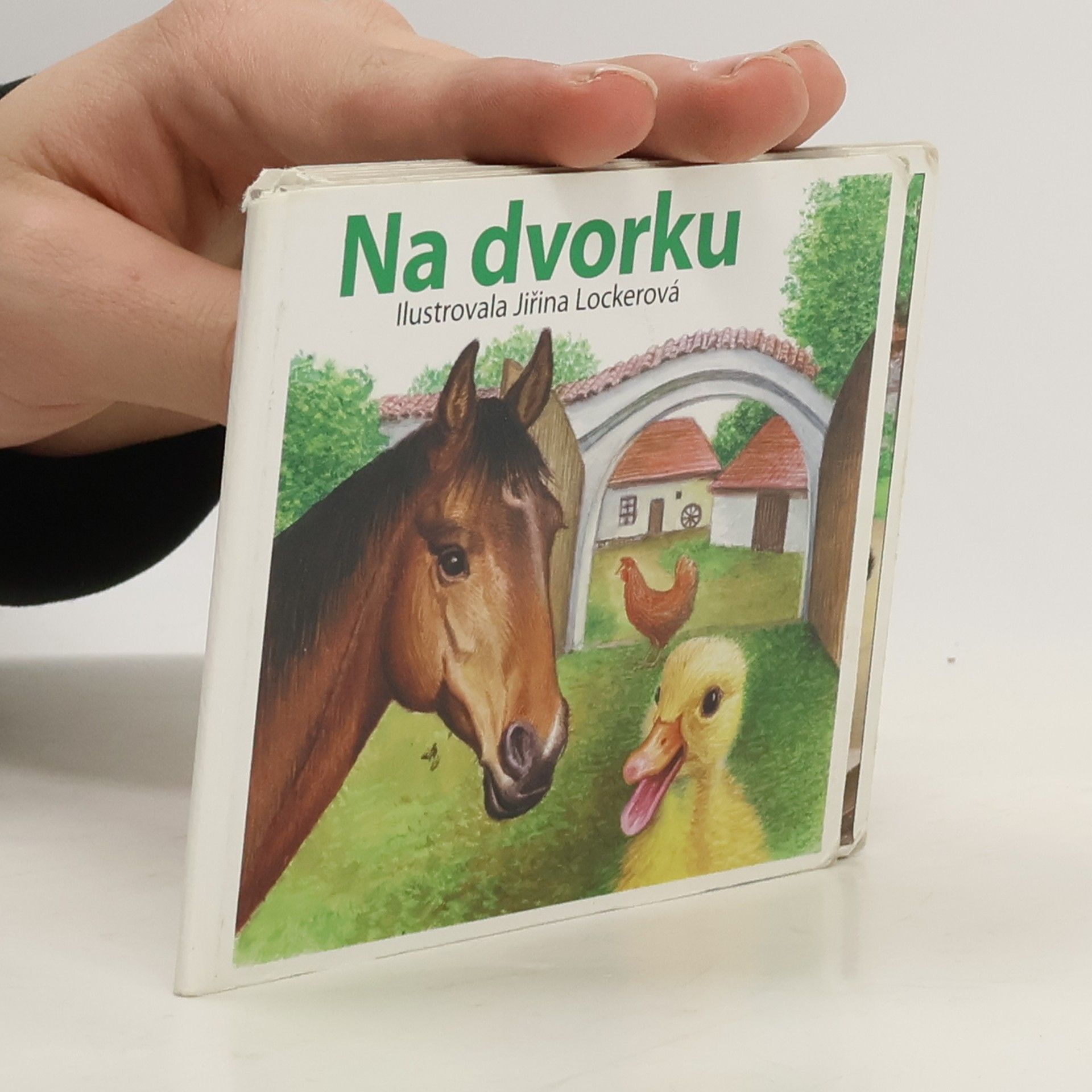 Jirina Lockerova Na dvorku