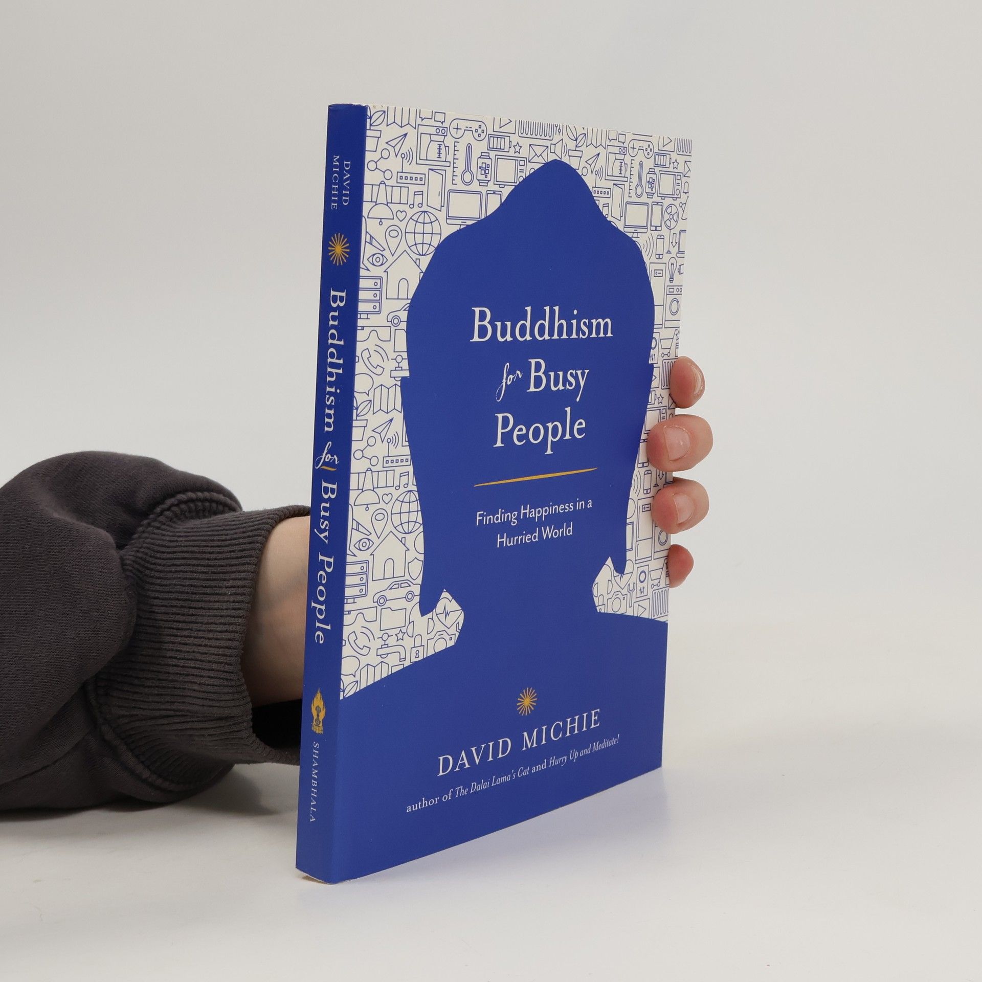 David Michie Buddhism for Busy People