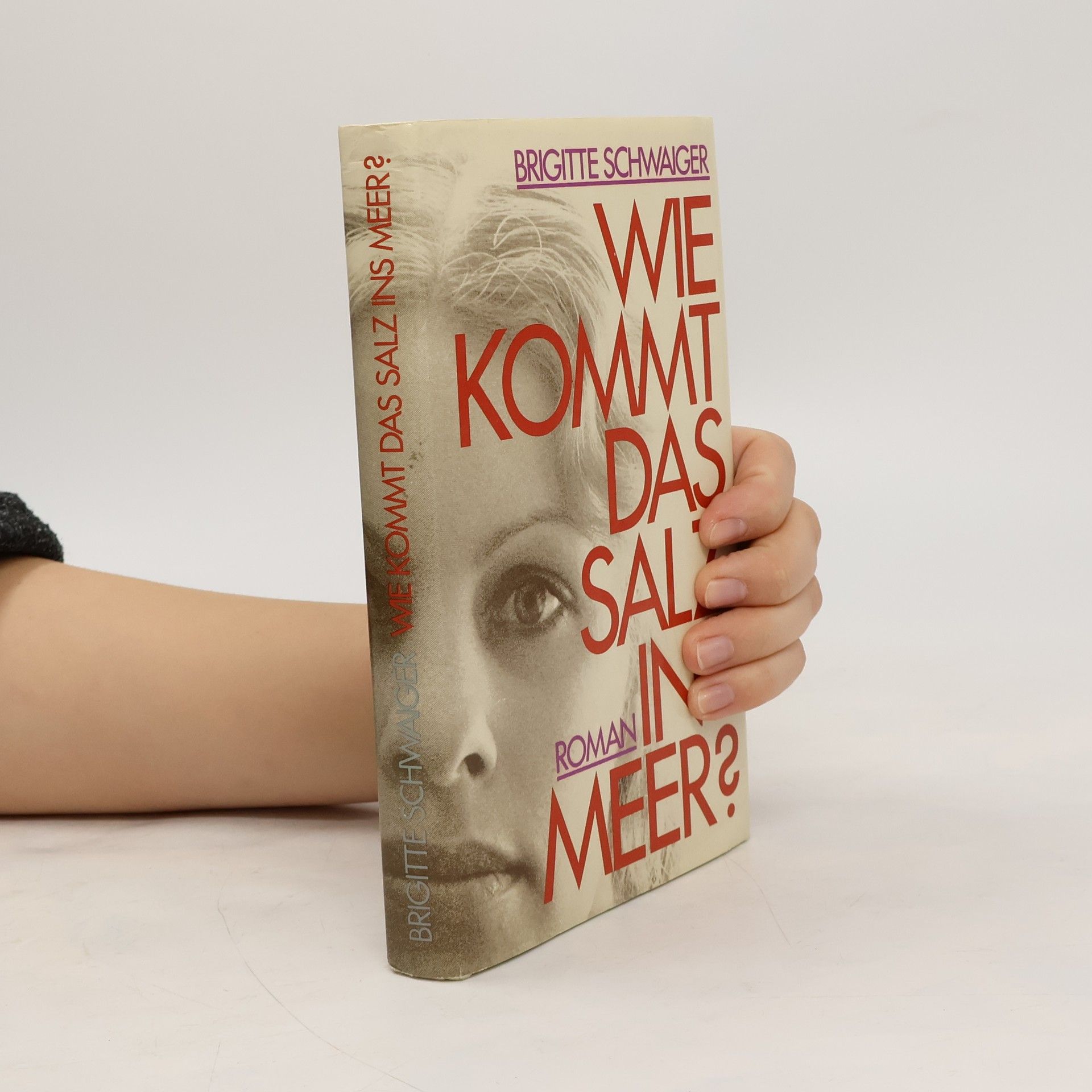 Brigitte Schwaiger Wie kommt das Salz ins Meer?