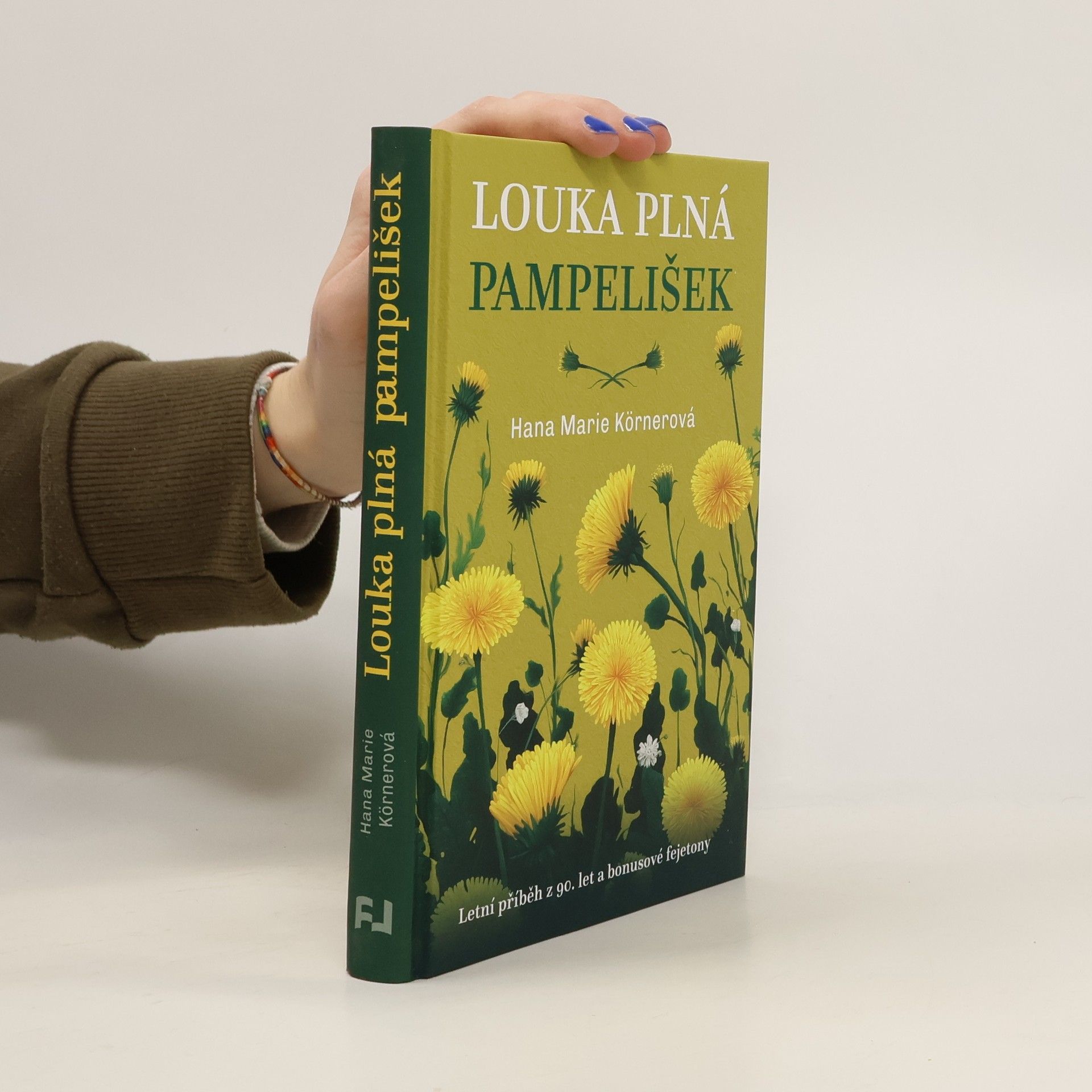 Louka plná pampelišek