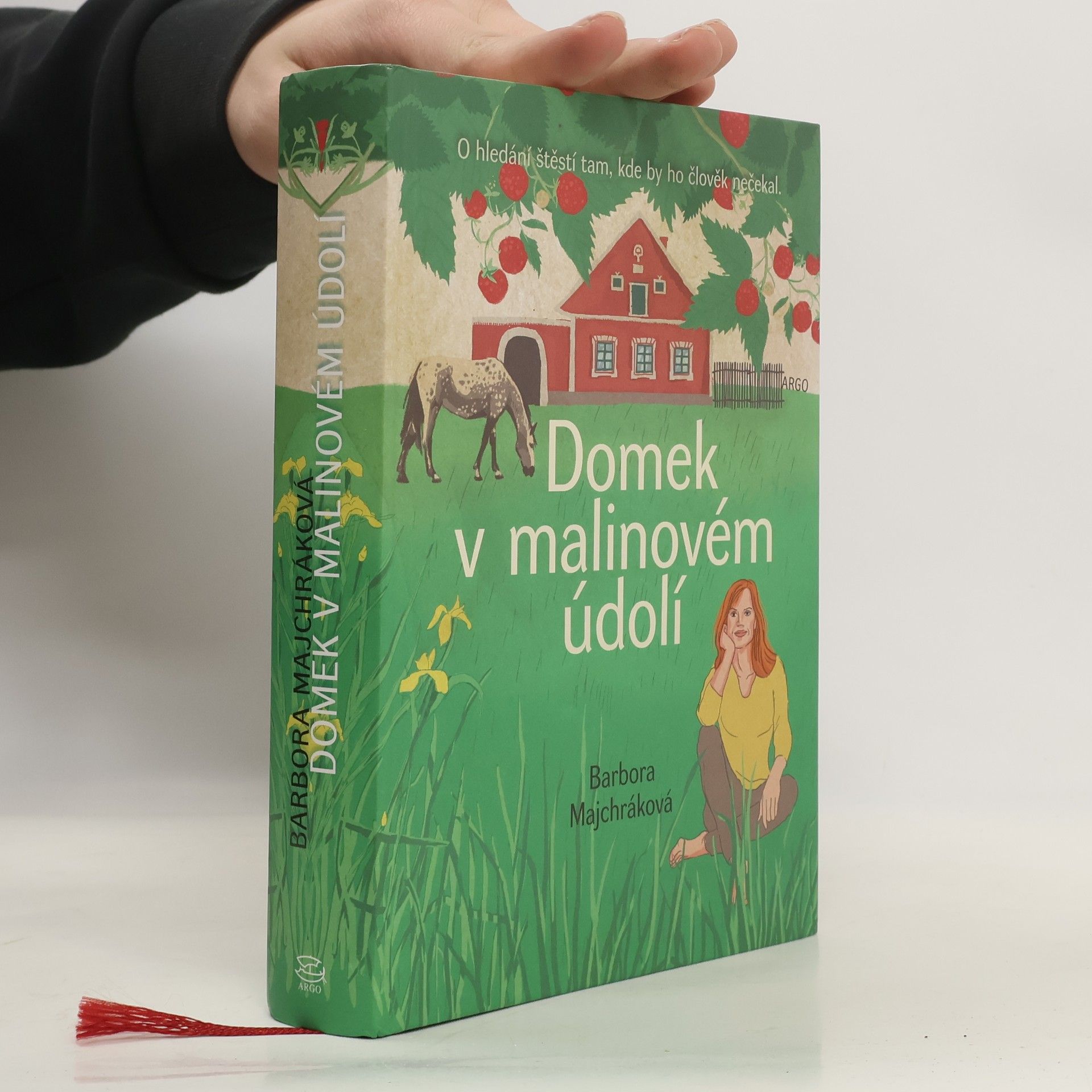 Domek v malinovém údolí