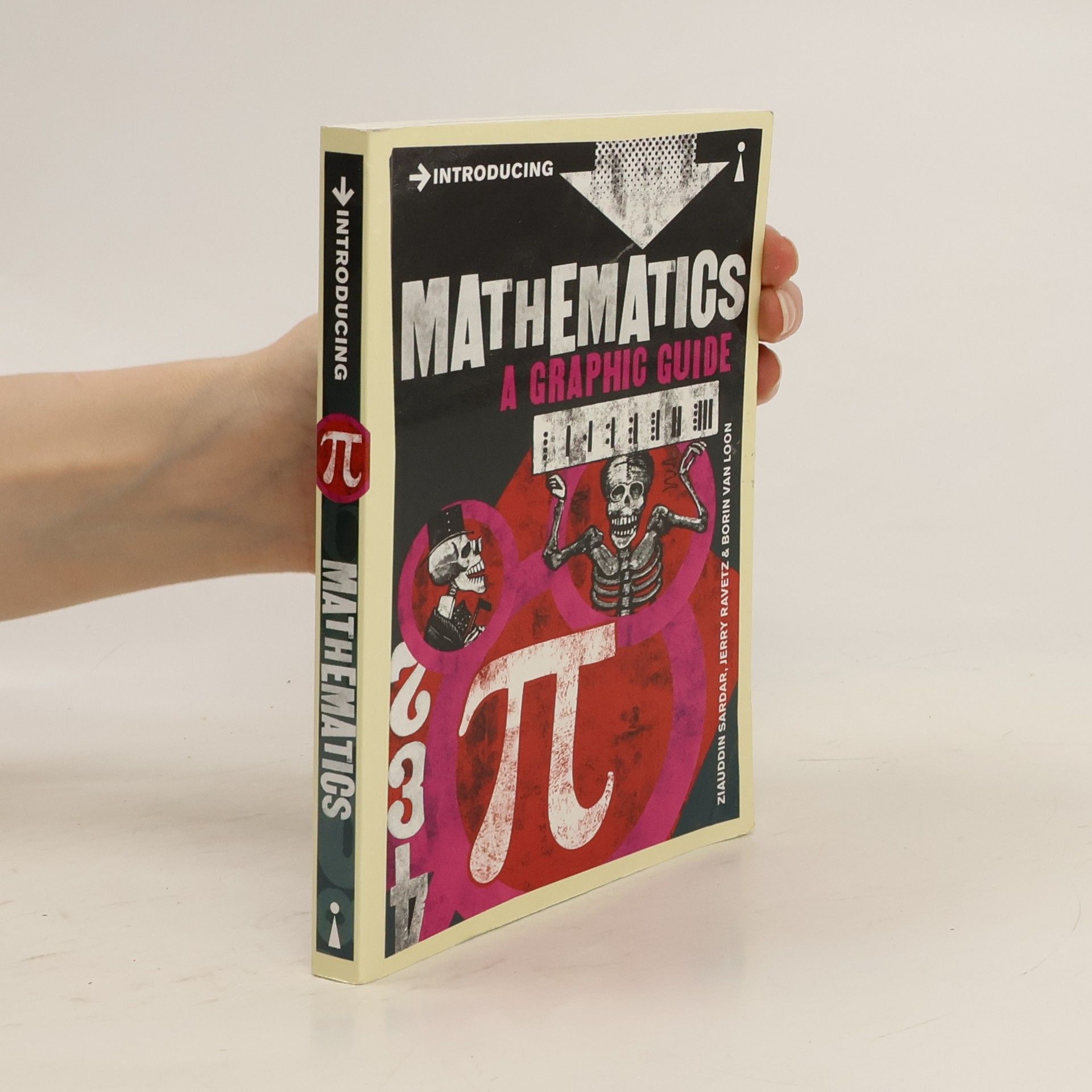 Introducing Mathematics : A Graphic Guide