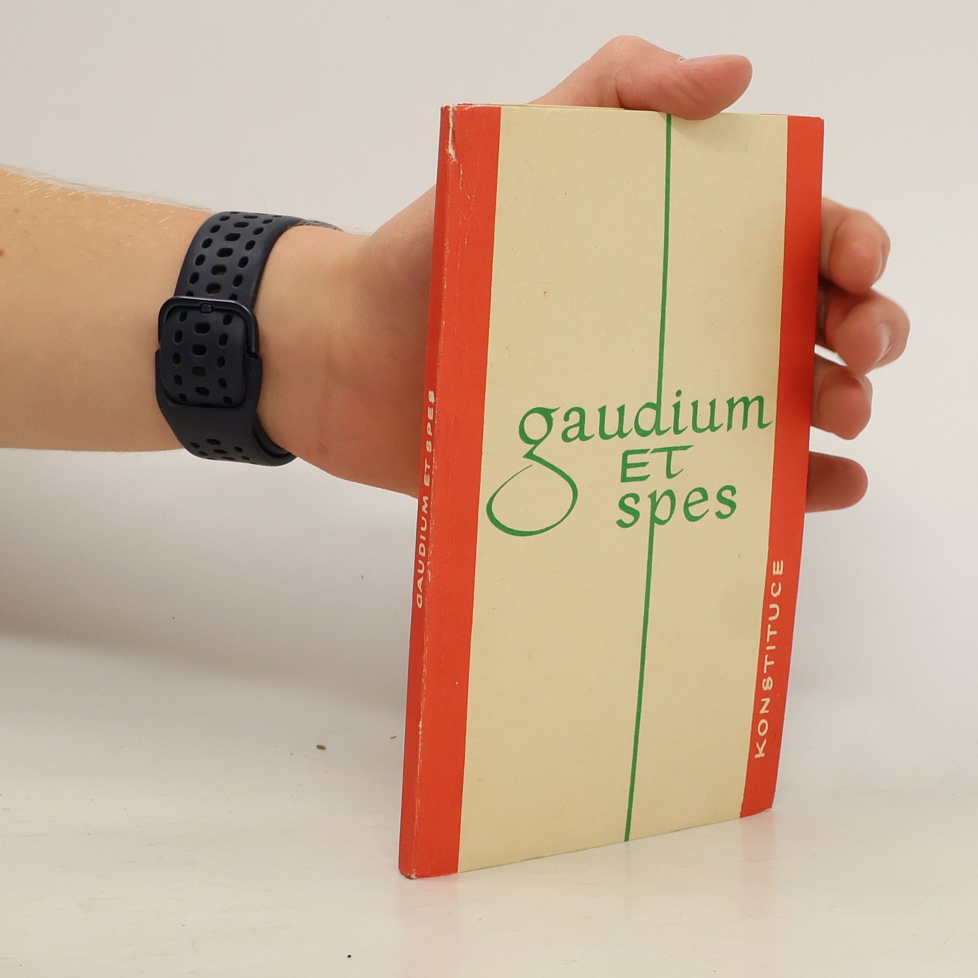 Autorenkollektiv Gaudium et spes. Radost a naděje