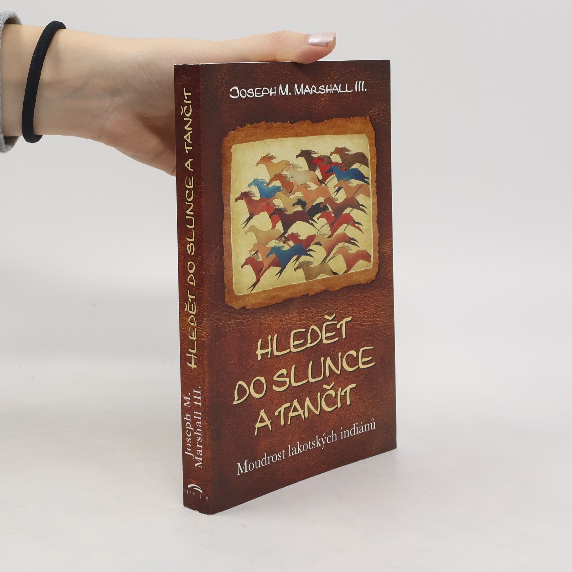 Hledět do slunce a tančit : moudrost lakotských indiánů