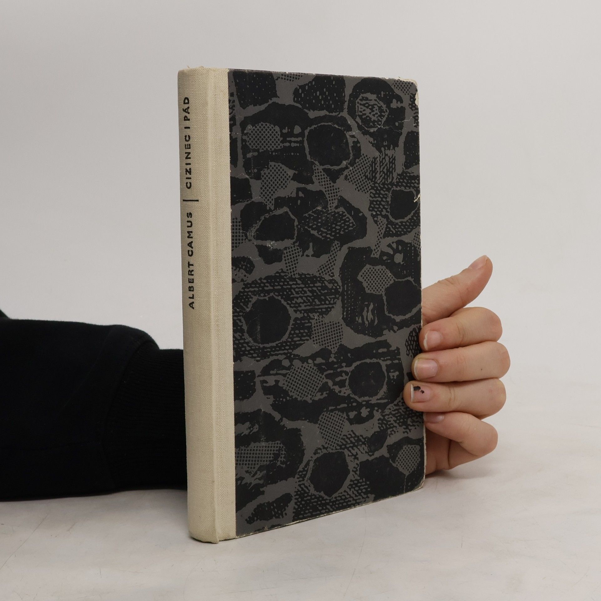 Albert Camus Cizinec. Pád