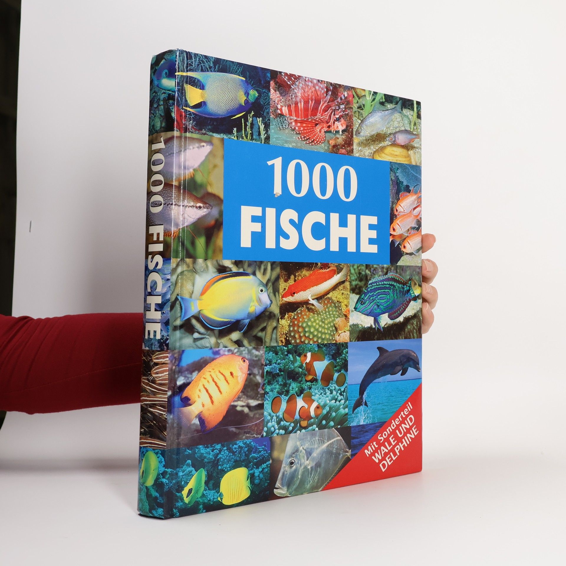 1000 Fische
