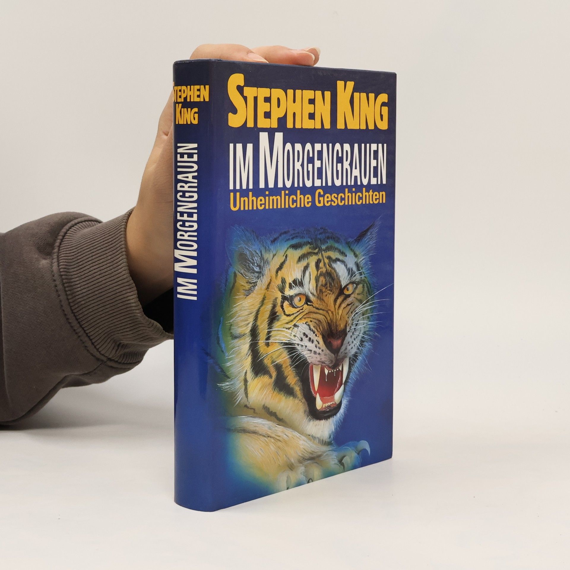 Stephen King Im Morgengrauen