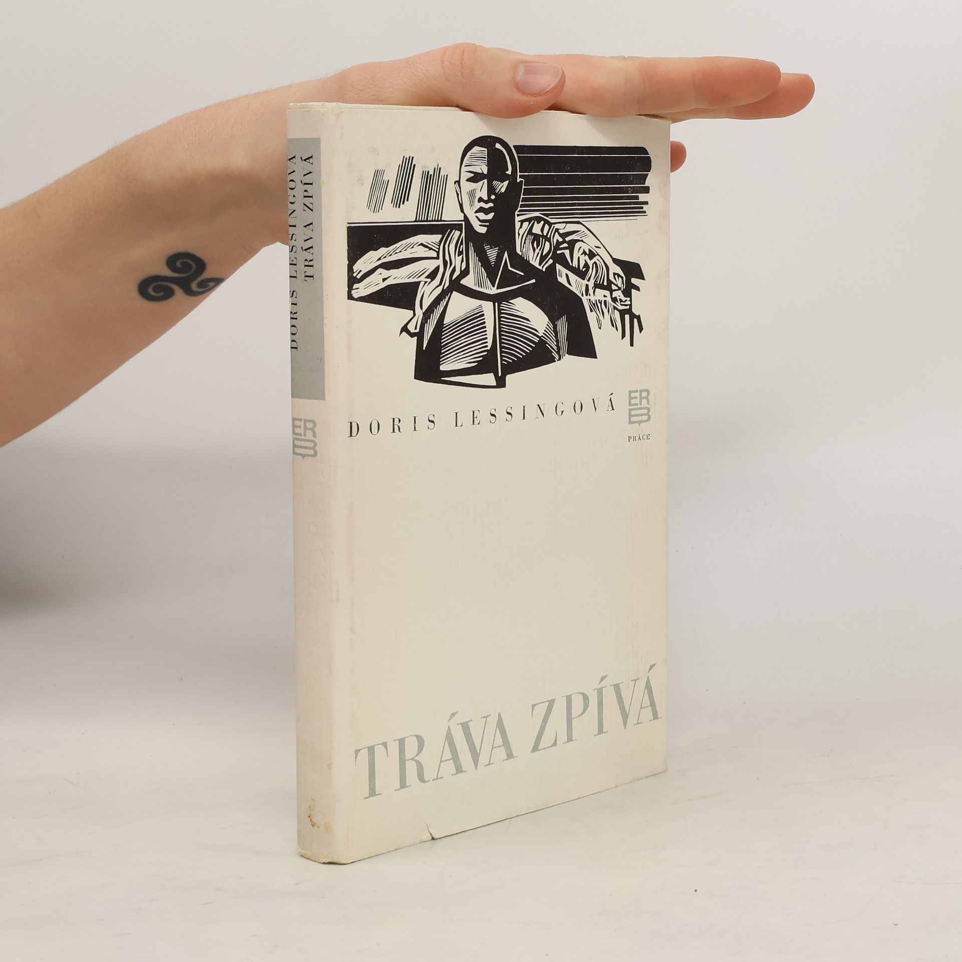 Doris May Lessing Tráva zpívá