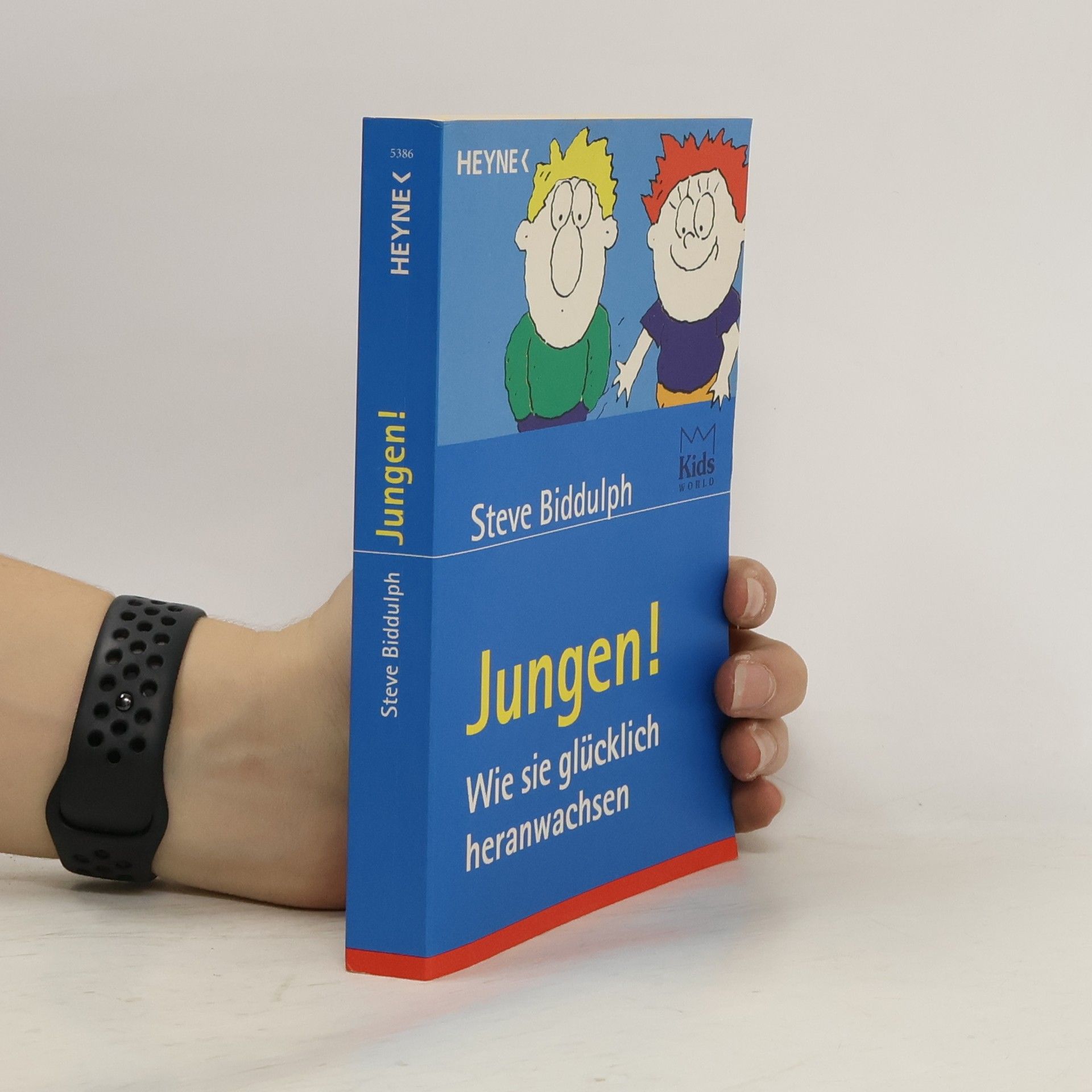 Steve Biddulph Jungen. Wie sie glücklich heranwachsen