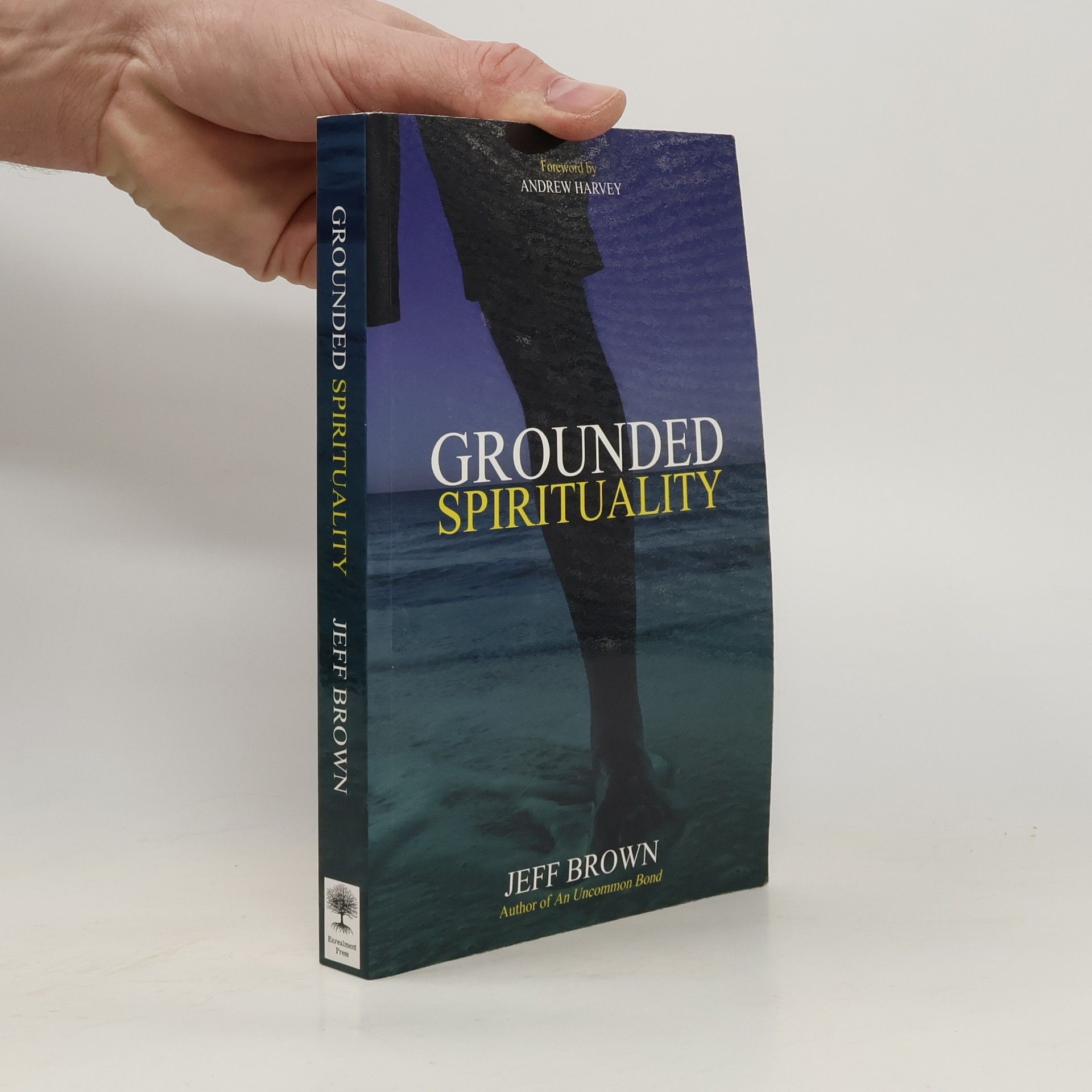 Jeff Brown Grounded Spirituality