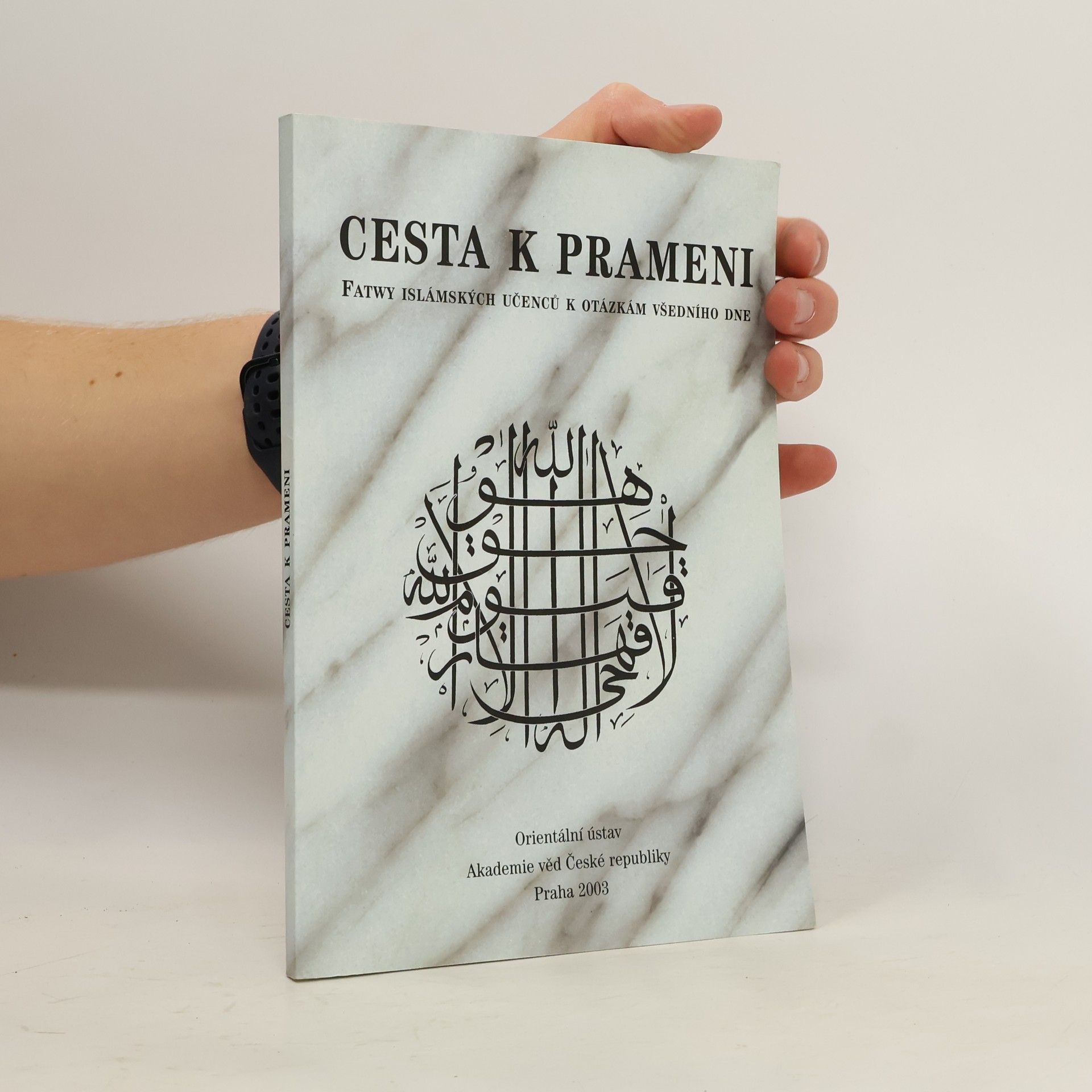 Cesta k prameni: Fatwy islámských učenců k otázkám všedního dne