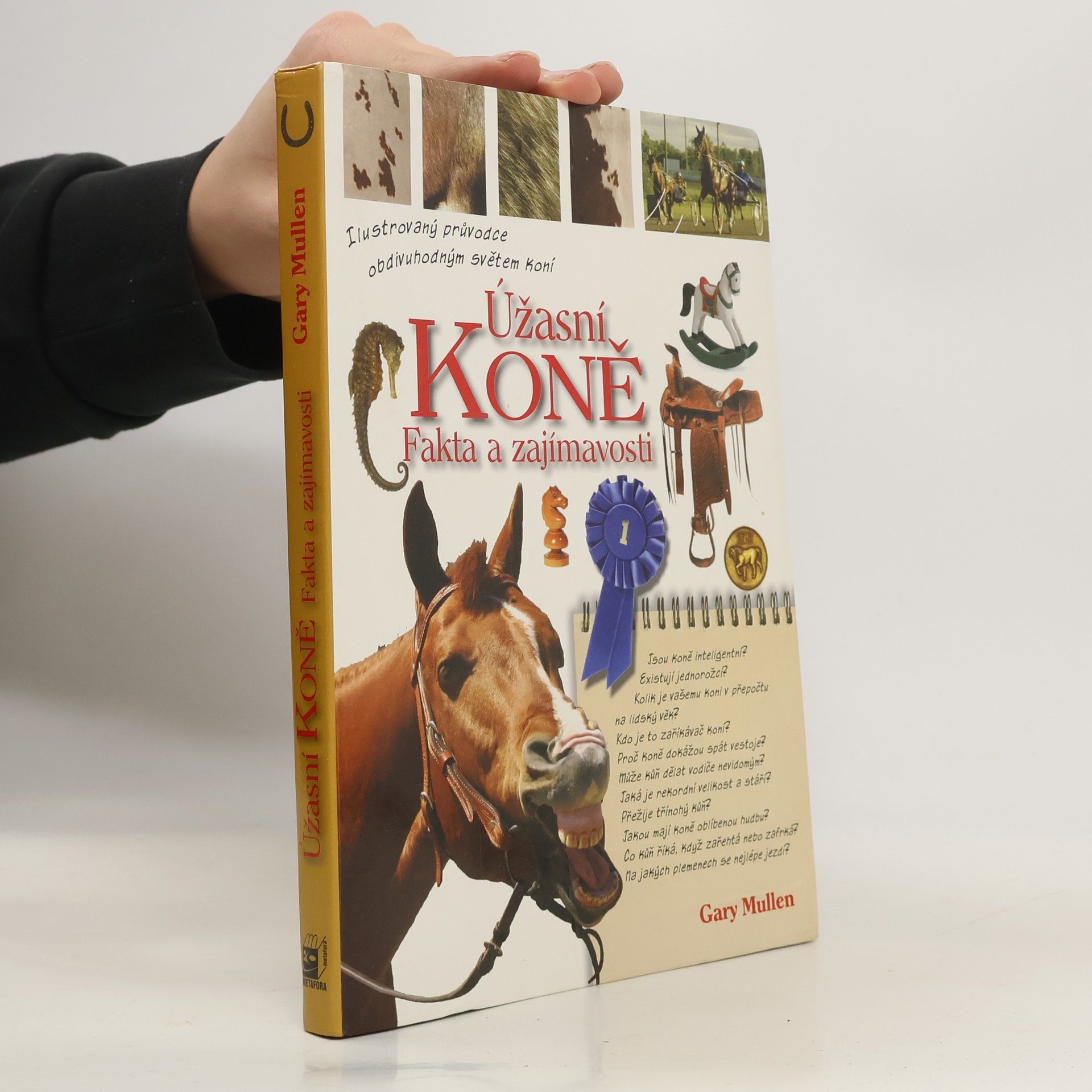 Gary Mullen Úžasní koně: fakta a zajímavosti