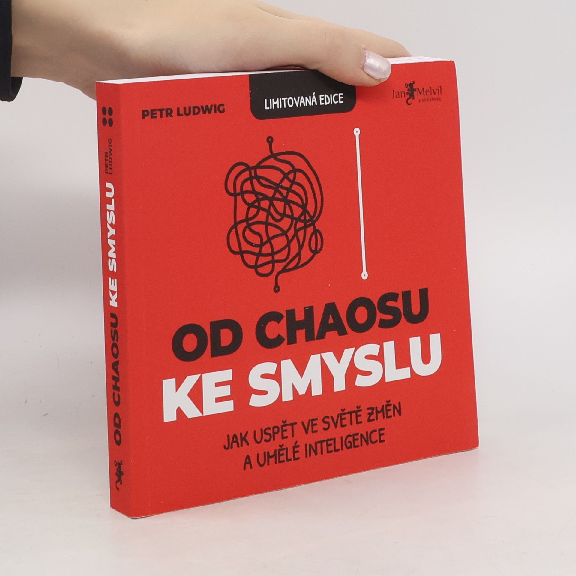 Od chaosu ke smyslu