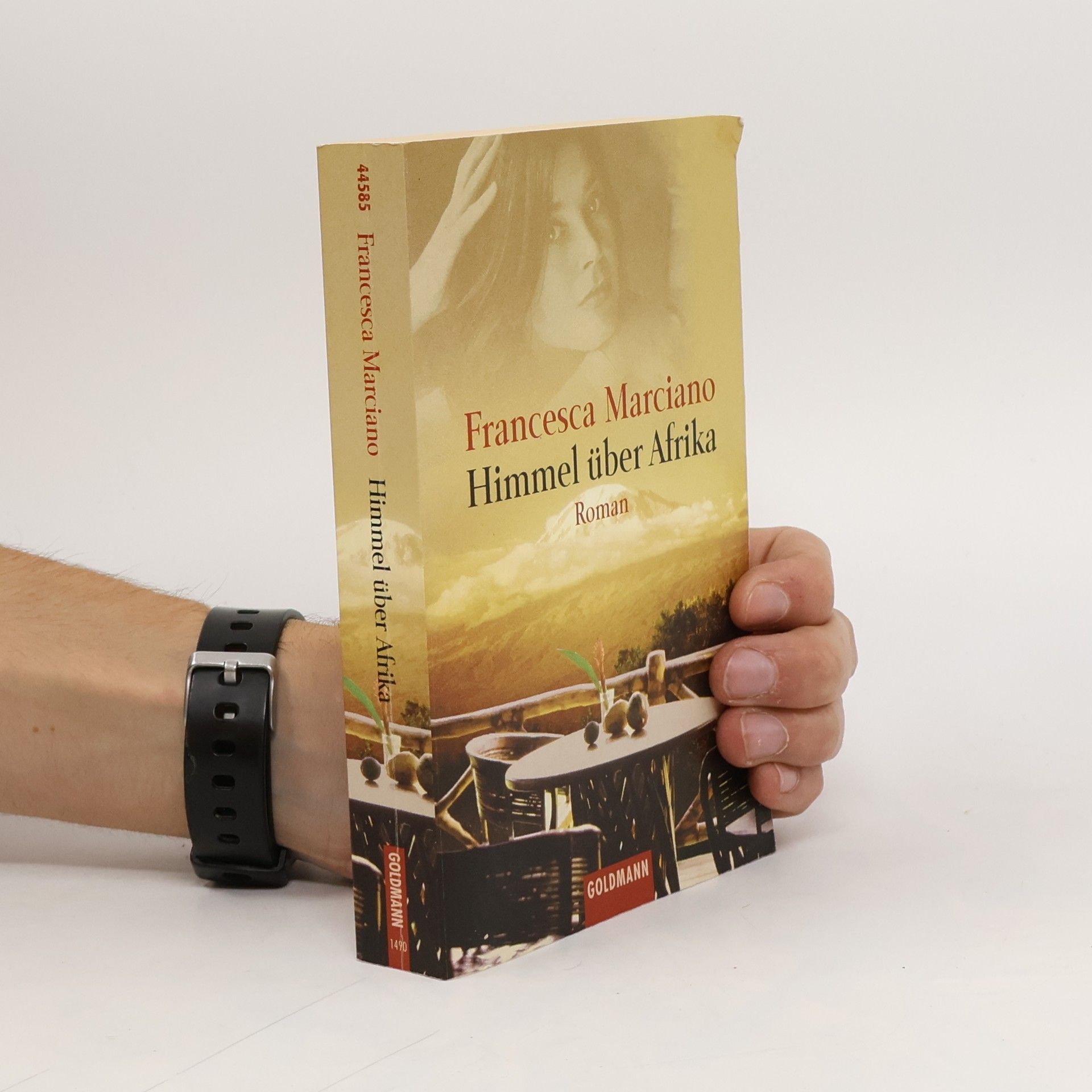 Francesca Marciano Himmel über Afrika