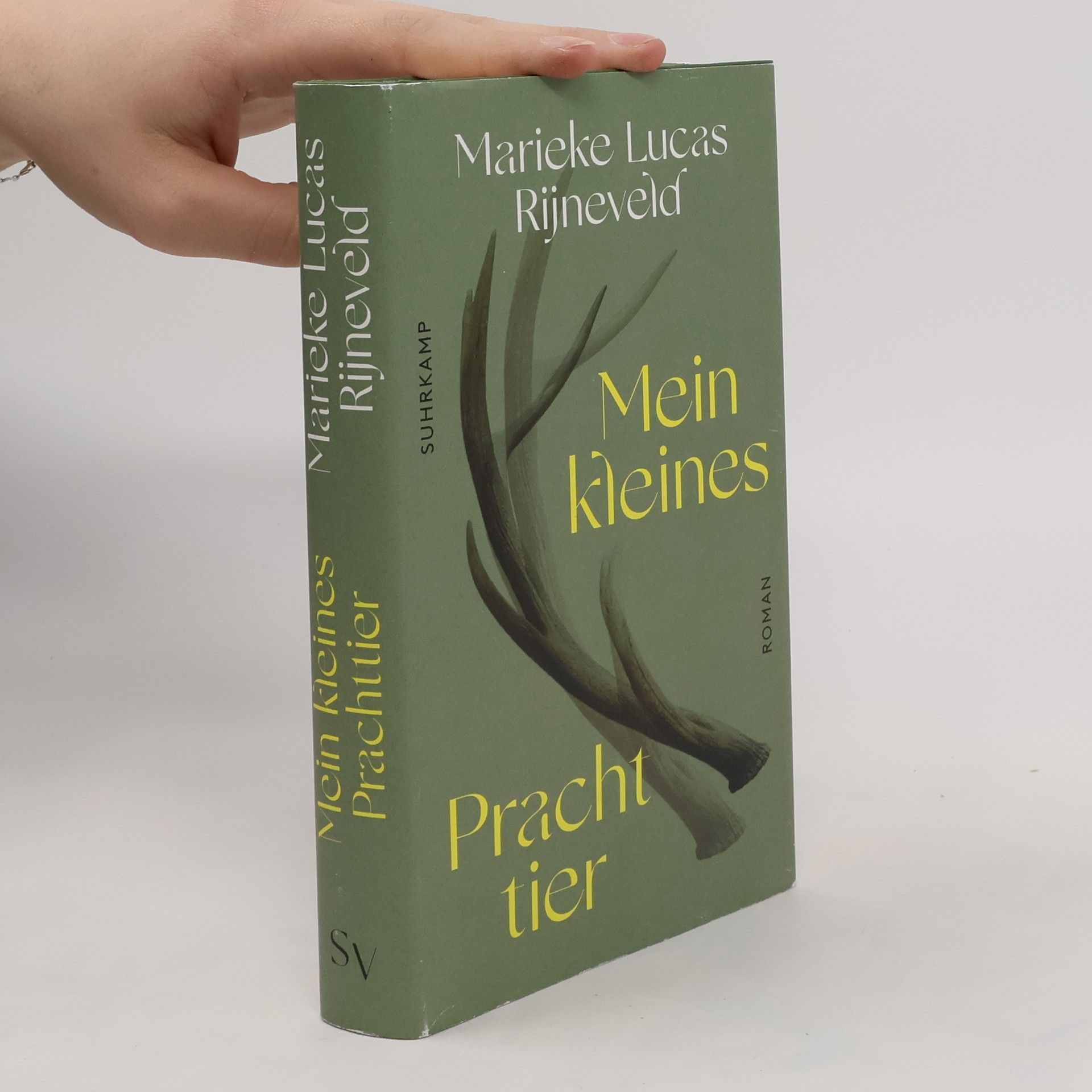 Lucas Rijneveld Mein kleines Prachttier