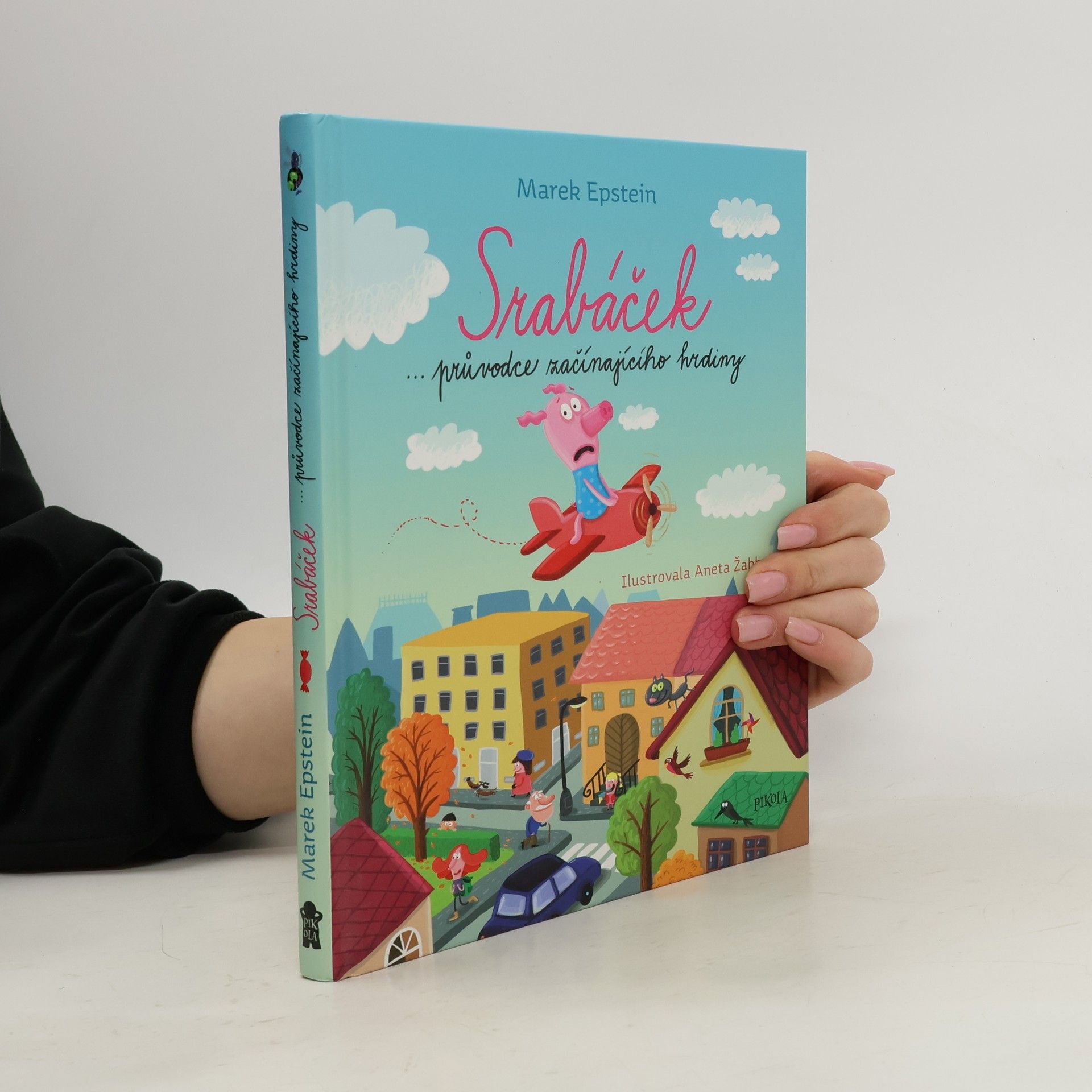 Marek Epstein Srabáček - průvodce začínajícího hrdiny