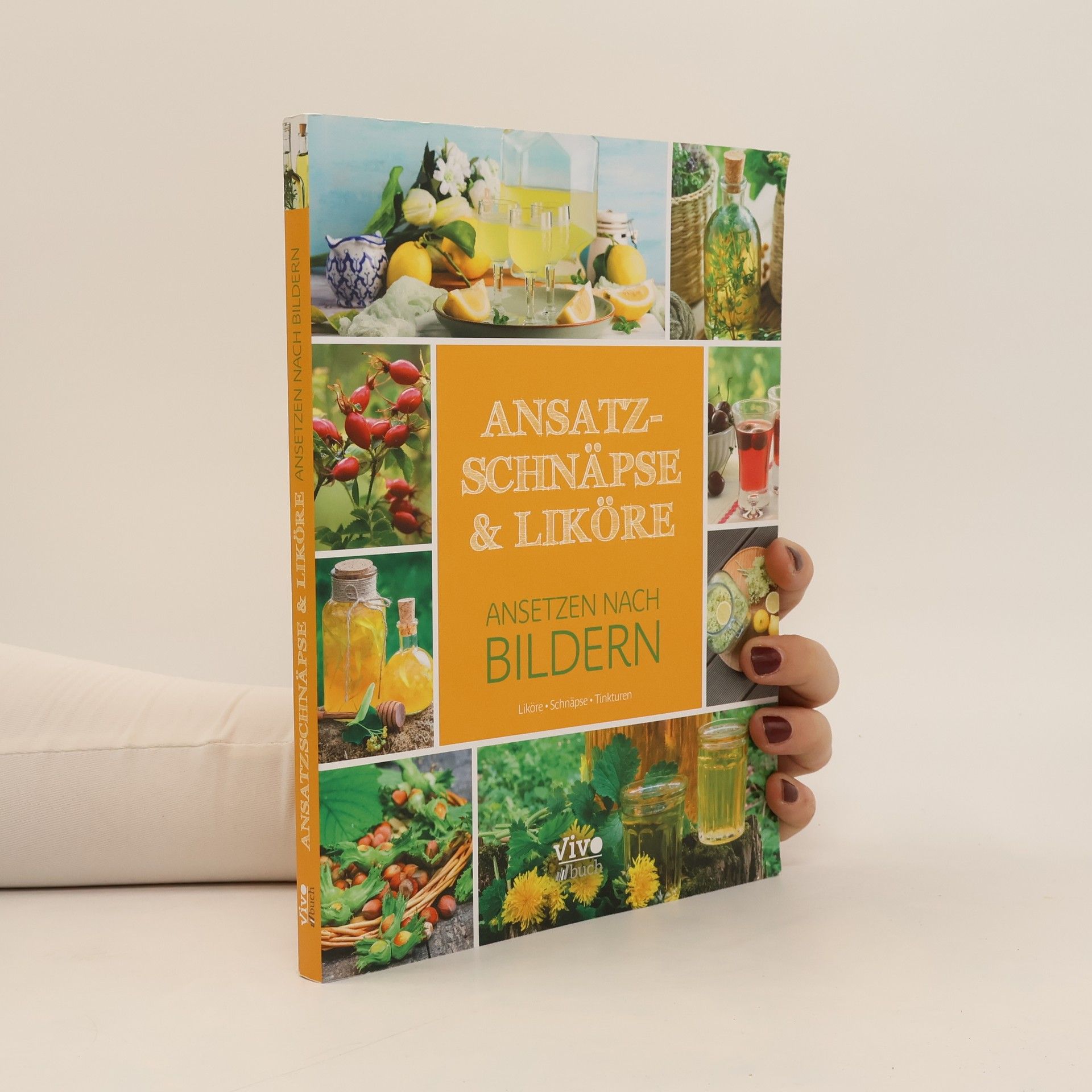 Autorenkollektiv Ansatzschnäpse & Liköre