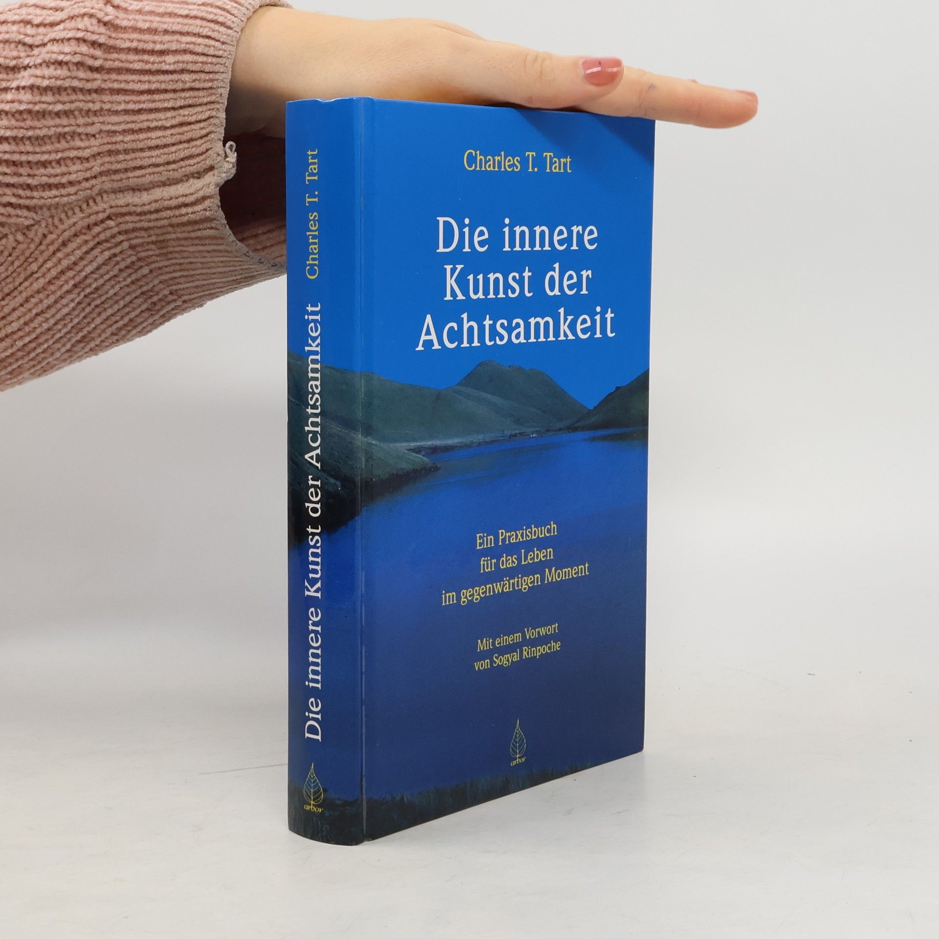 Die innere Kunst der Achtsamkeit