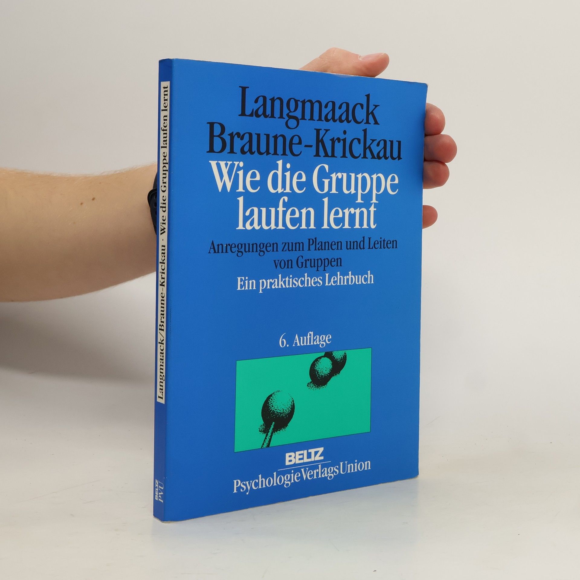 Barbara Langmaack Wie die Gruppe laufen lernt