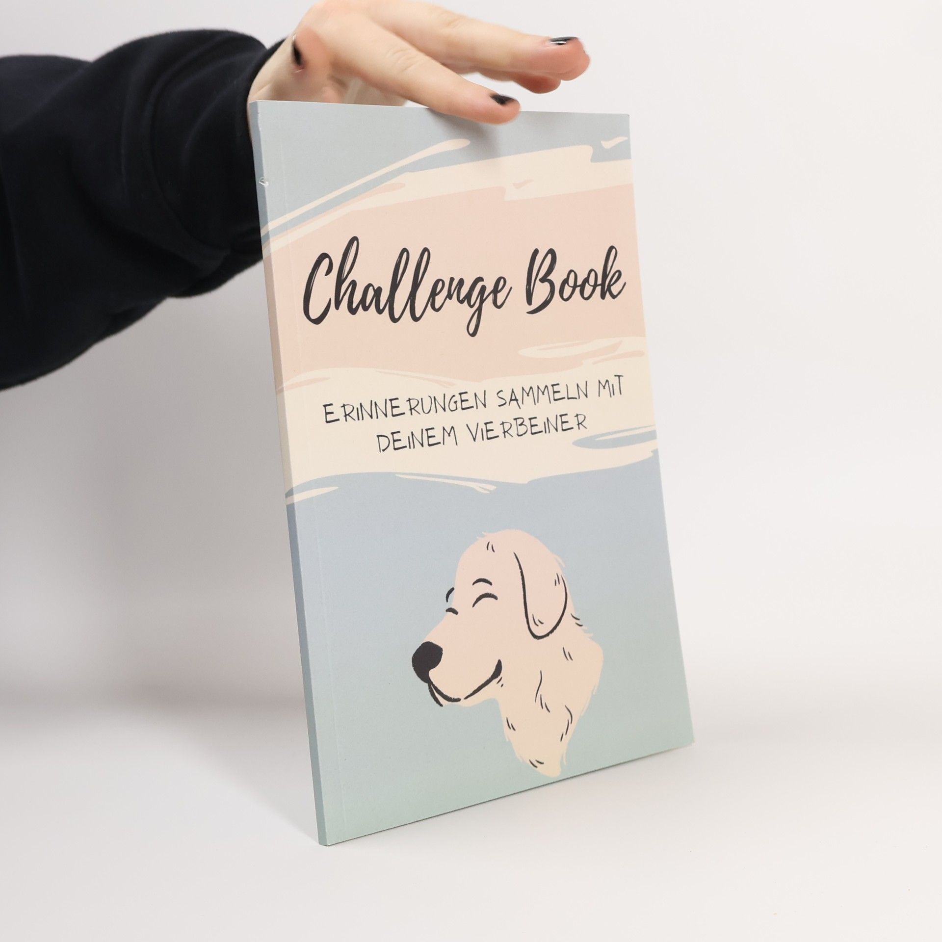 Auteurscollectief Challenge Book