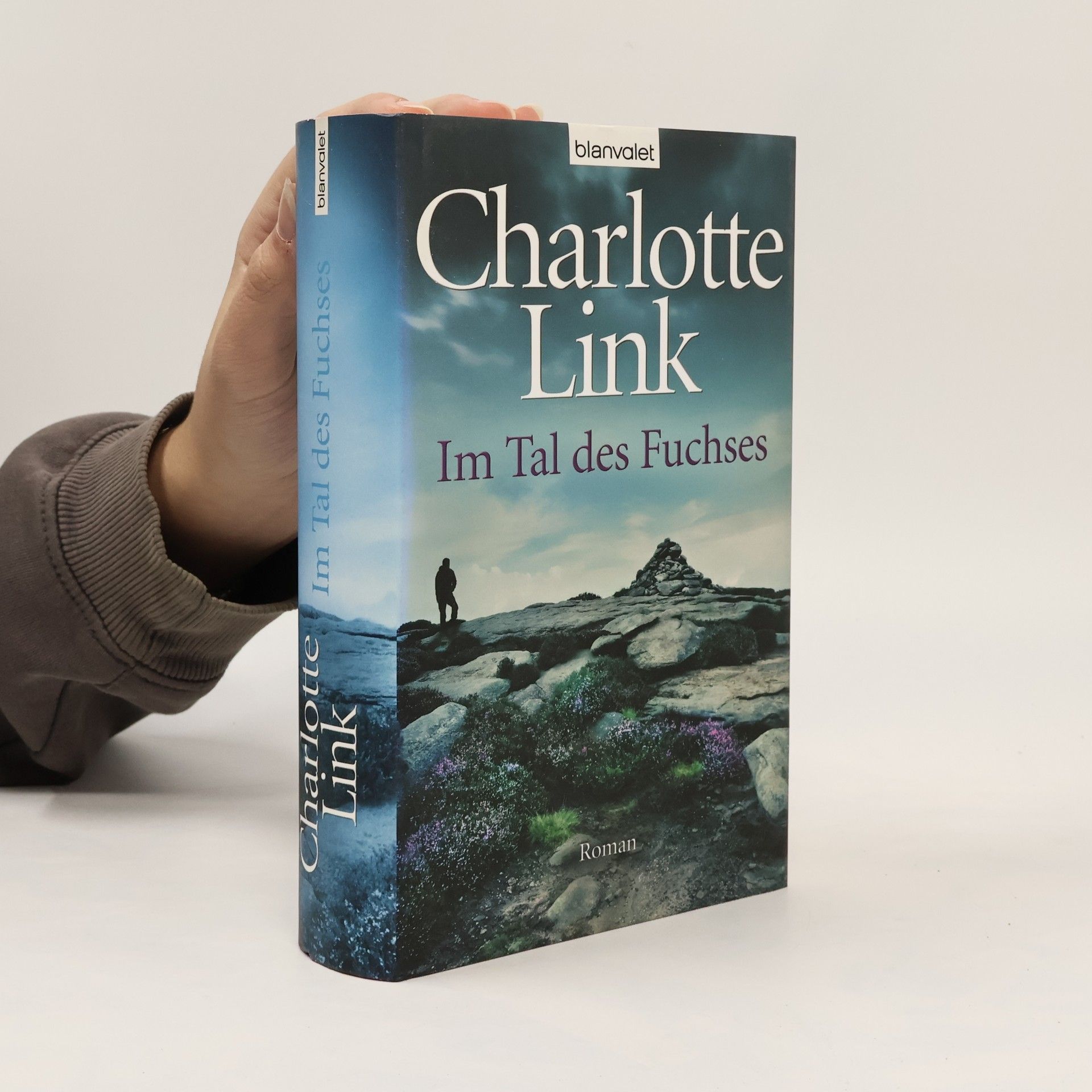 Charlotte Link Im Tal des Fuchses