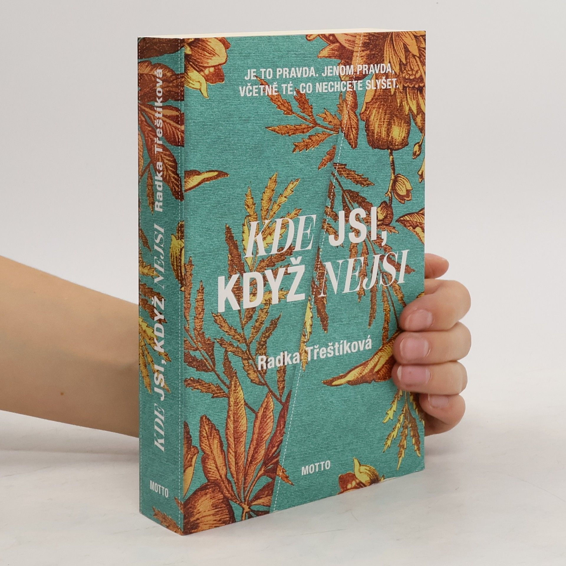 Radka Třeštíková Kde jsi, když nejsi