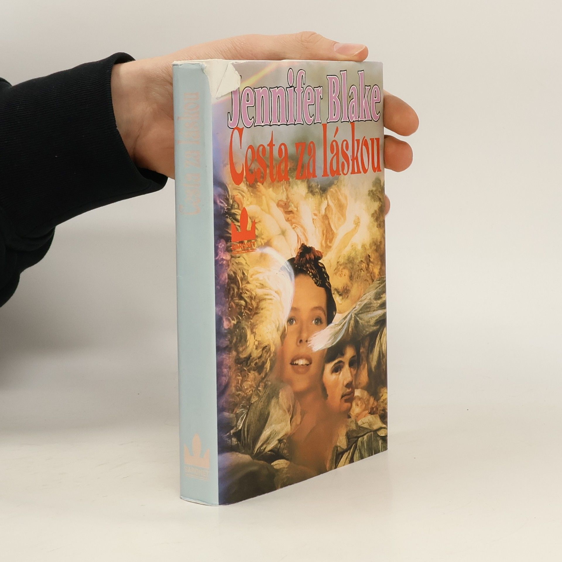 Jennifer Blake Cesta za láskou