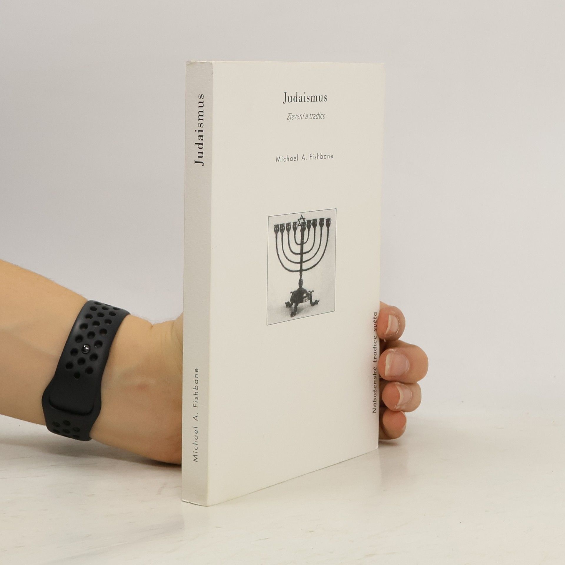 Michael Fishbane Judaismus