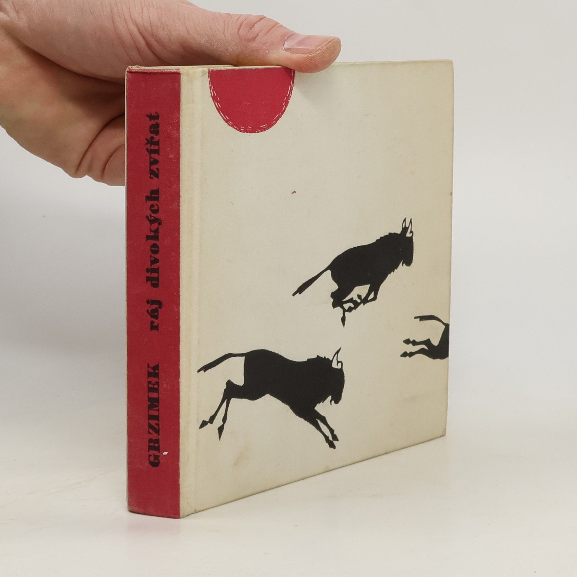 Ráj divokých zvířat