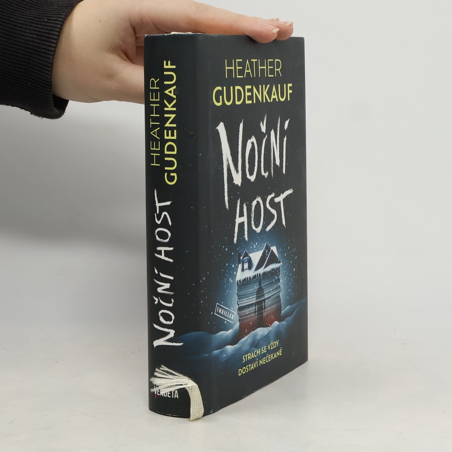 Heather Gudenkauf Noční host