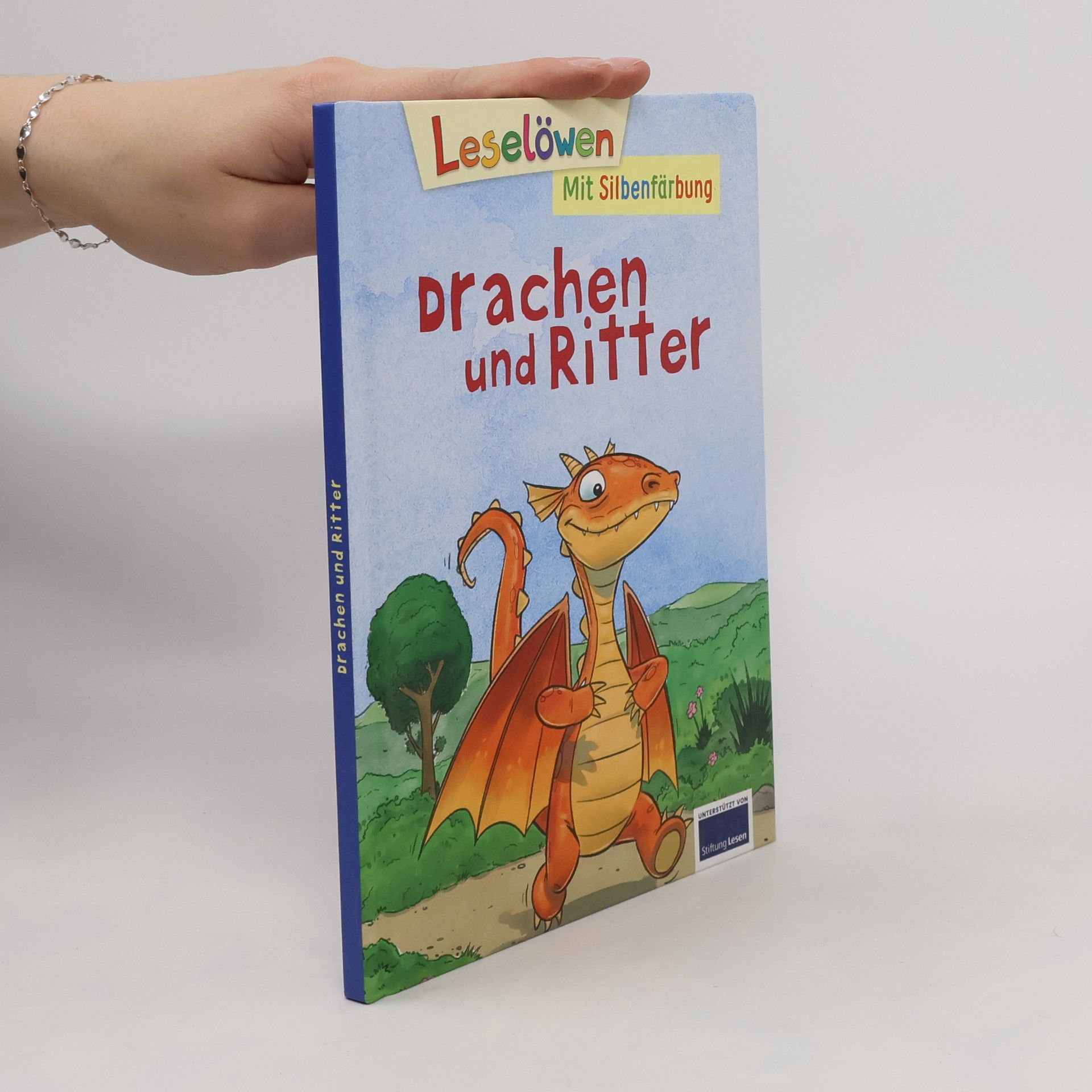 Autorenkollektiv Drachen und Ritter