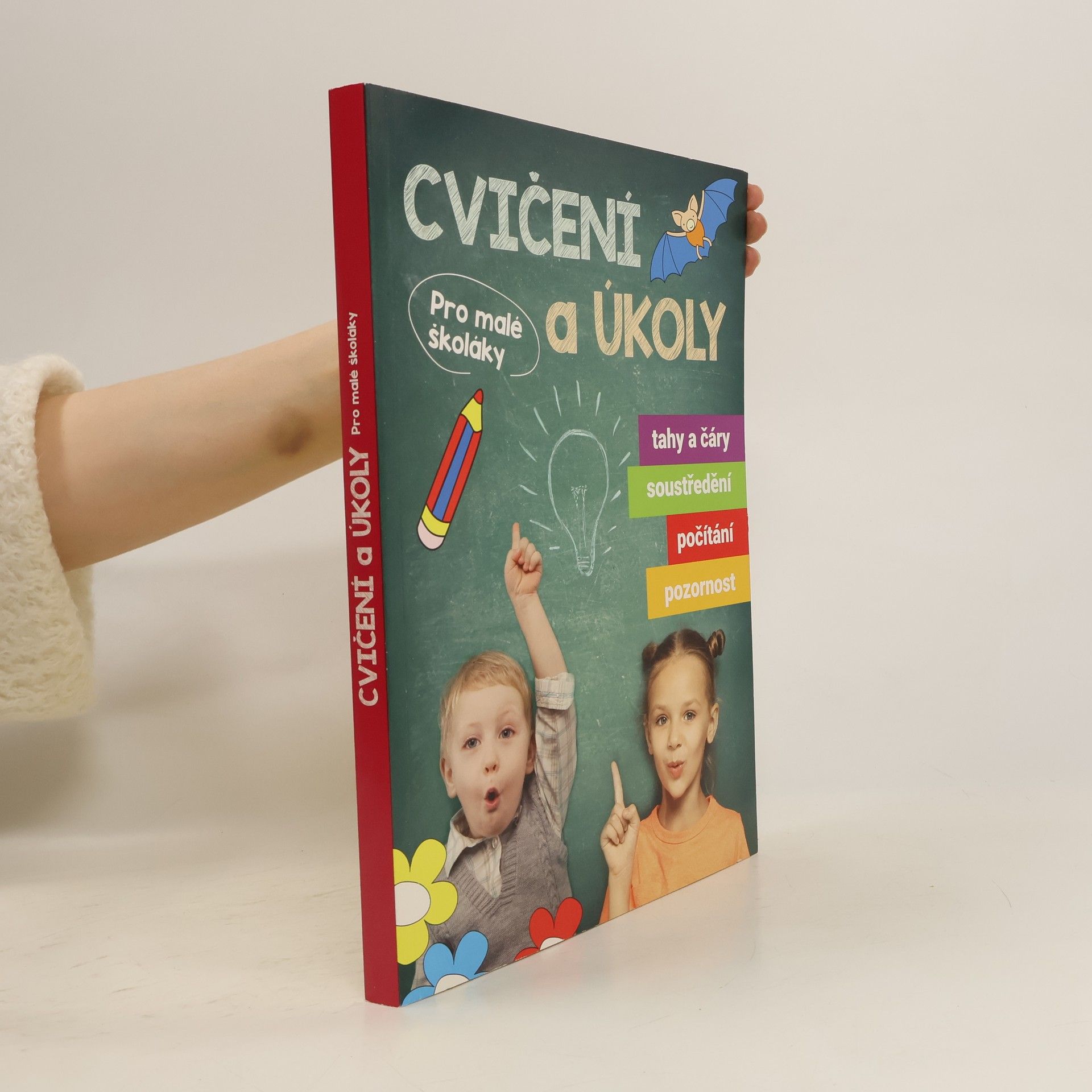 Kolektív autorov Cvičení a úkoly