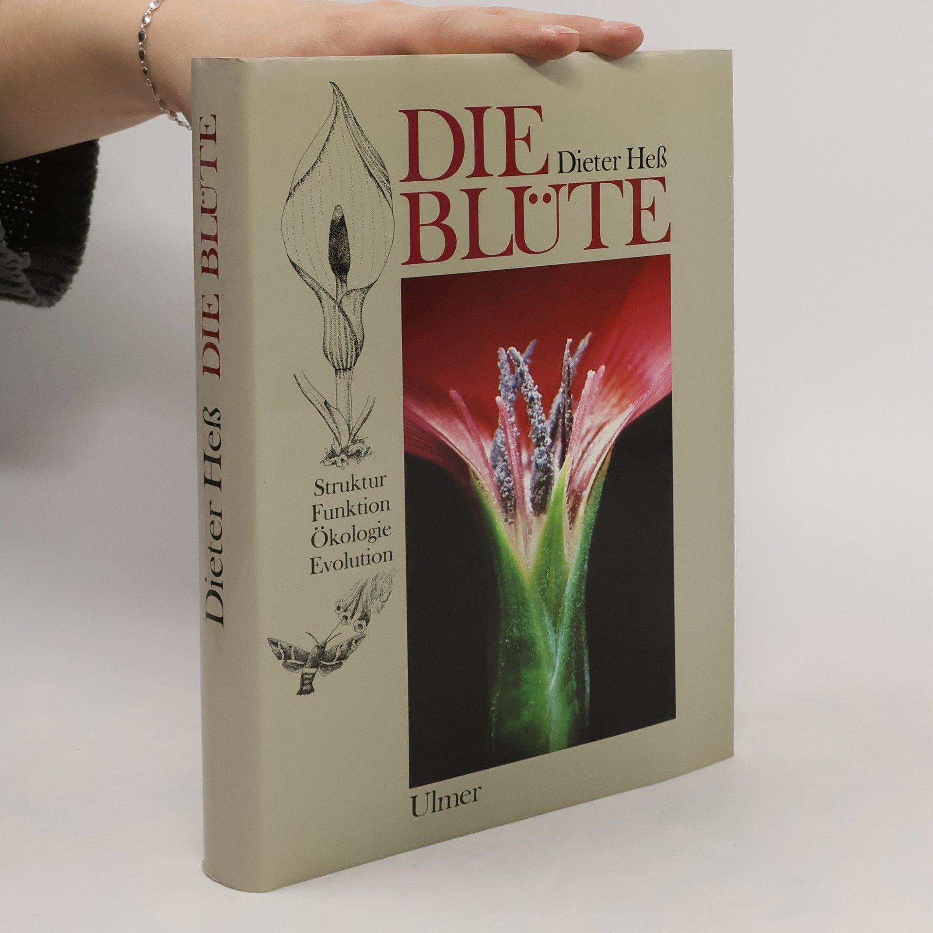 Dieter Heß Die Blüte