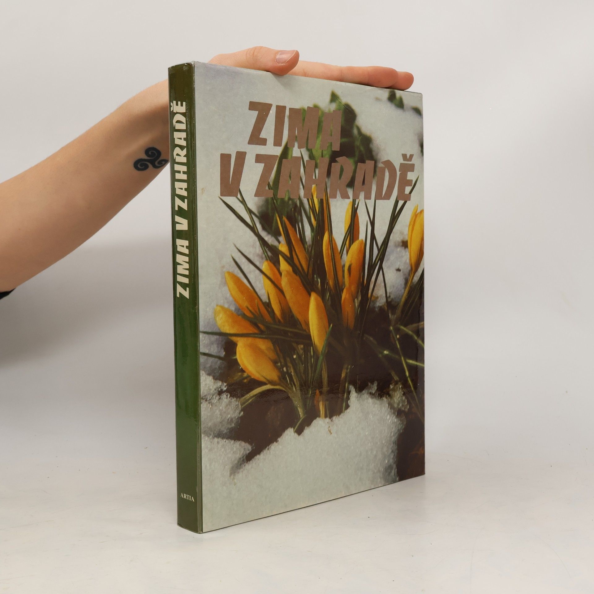 Autores varios Zima v zahradě