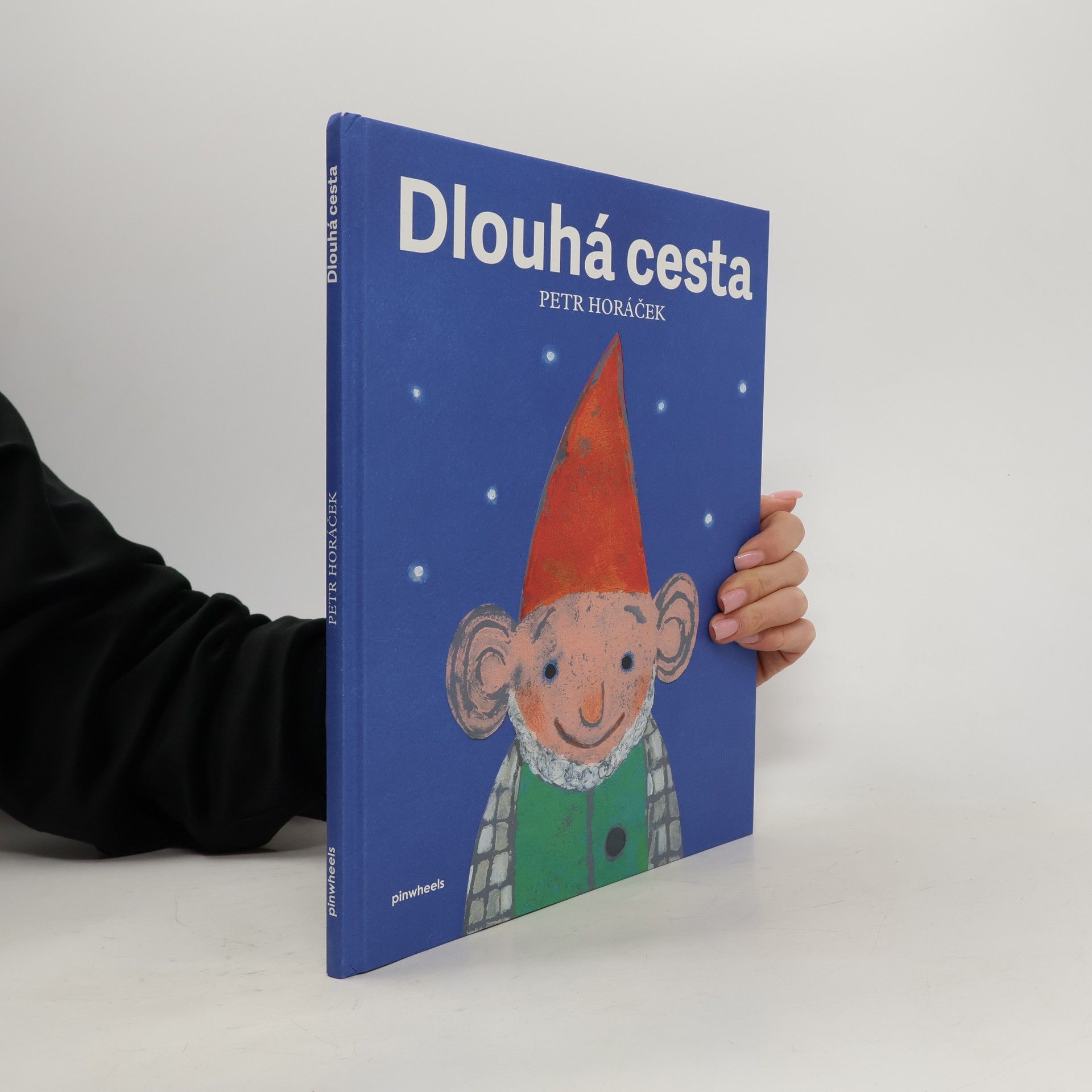 Petr Horáček Dlouhá cesta