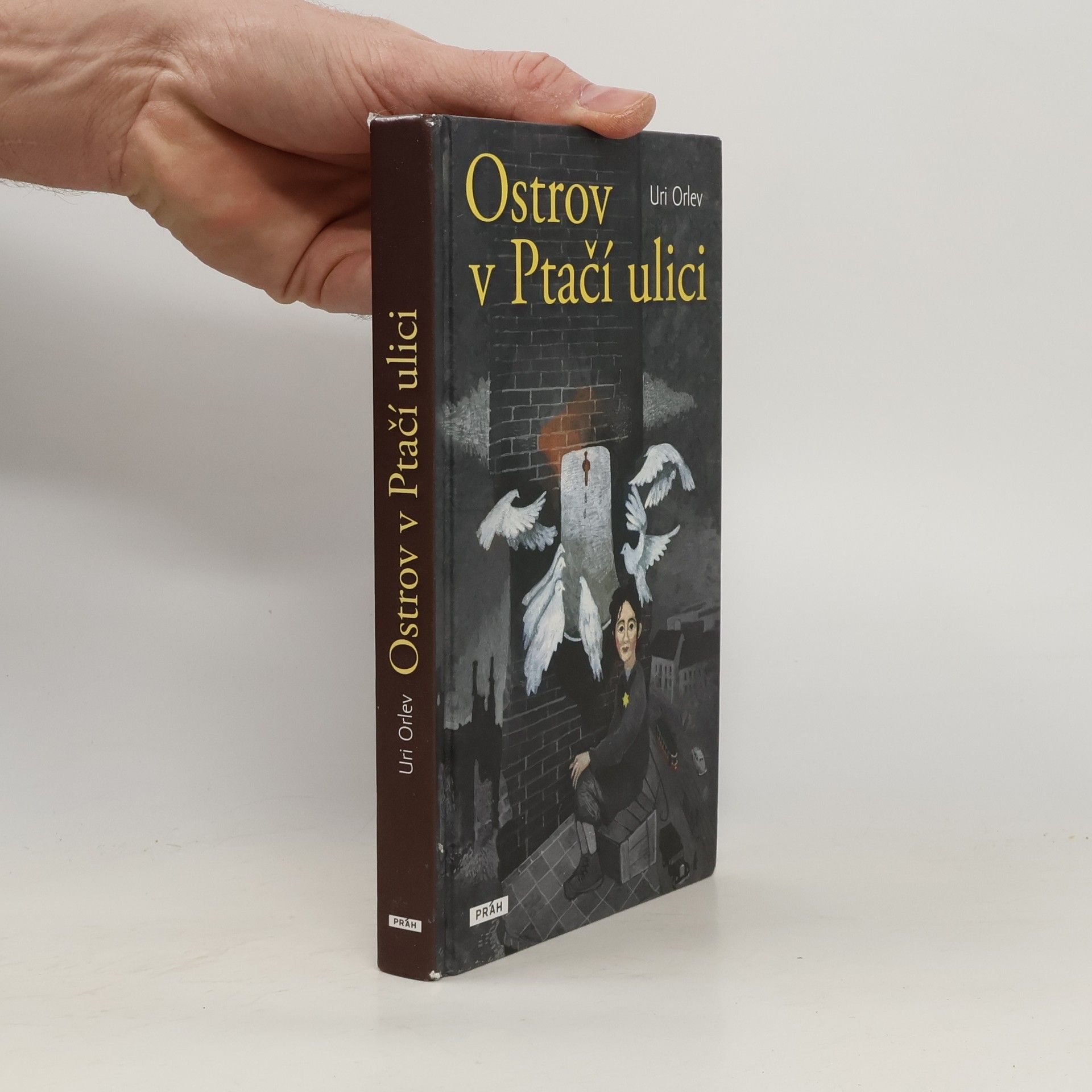 Uri Orlev Ostrov v Ptačí ulici