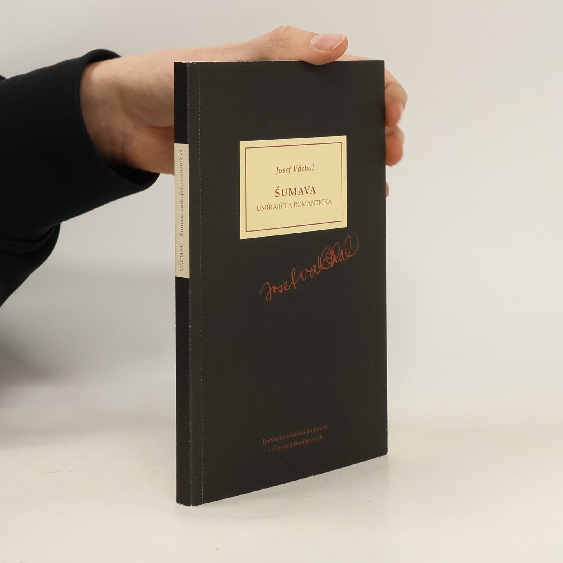 Josef Váchal Šumava