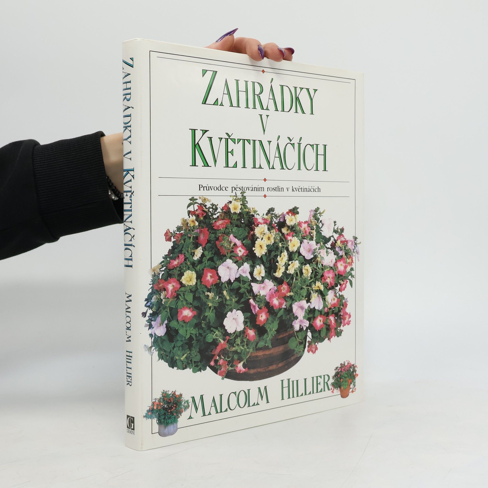 Zahrádky v květináčích