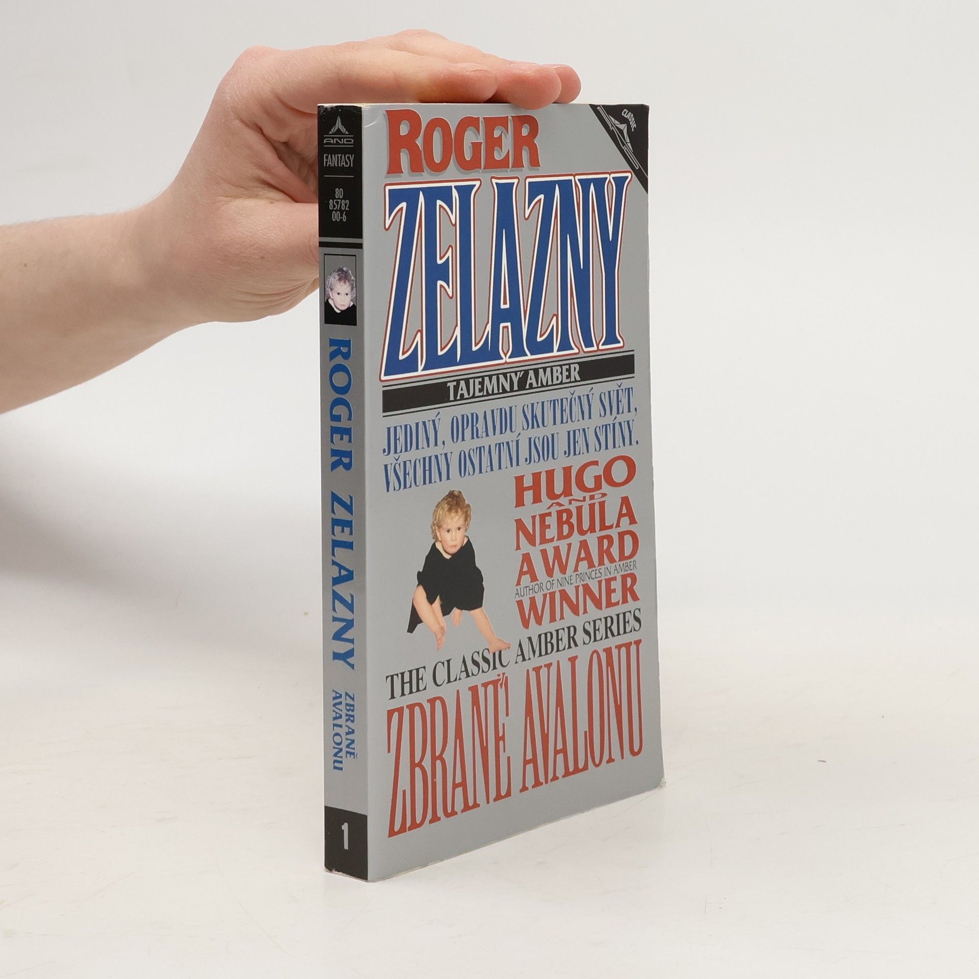 Tajemný Amber. Zbraně Avalonu