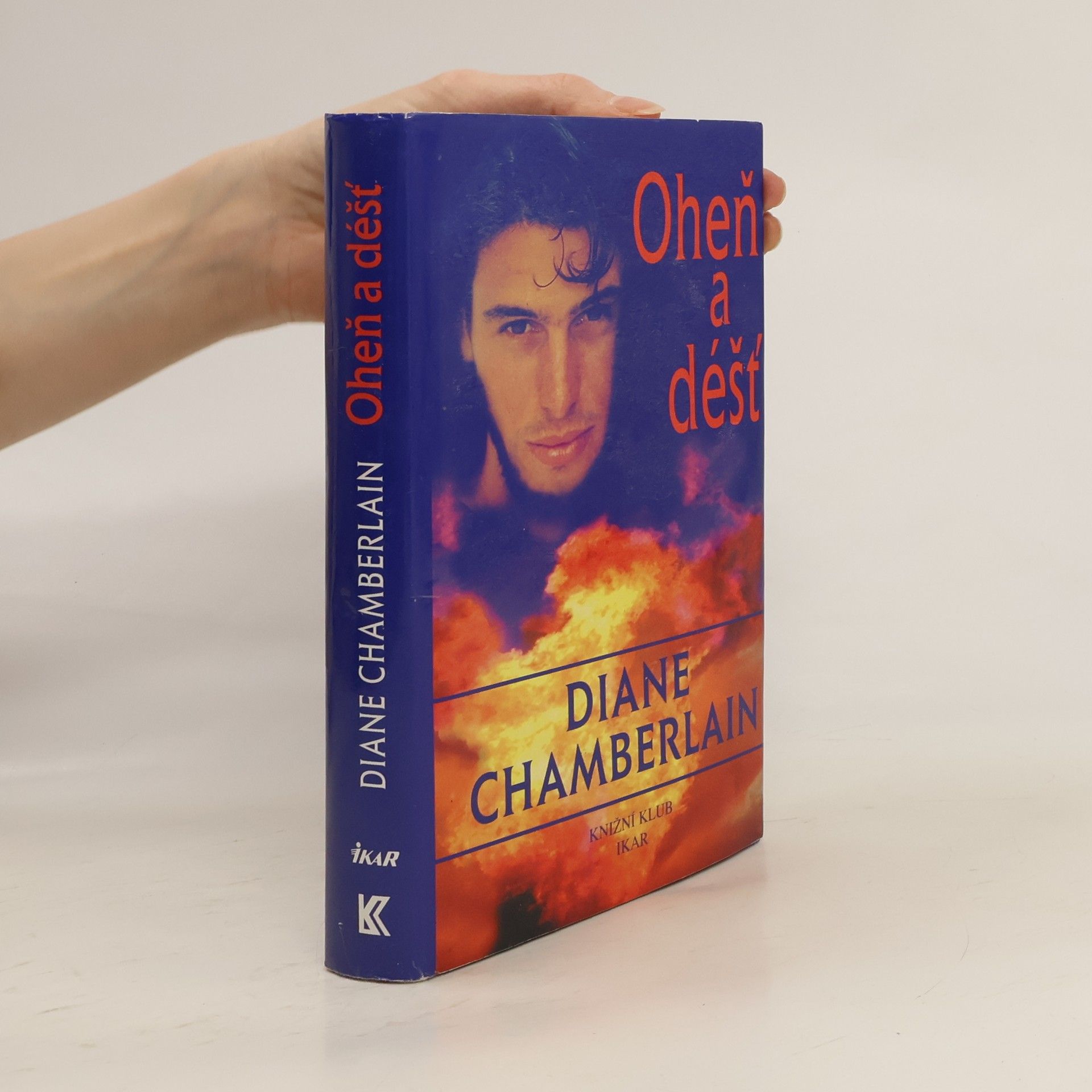 Diane Chamberlain Oheň a déšť