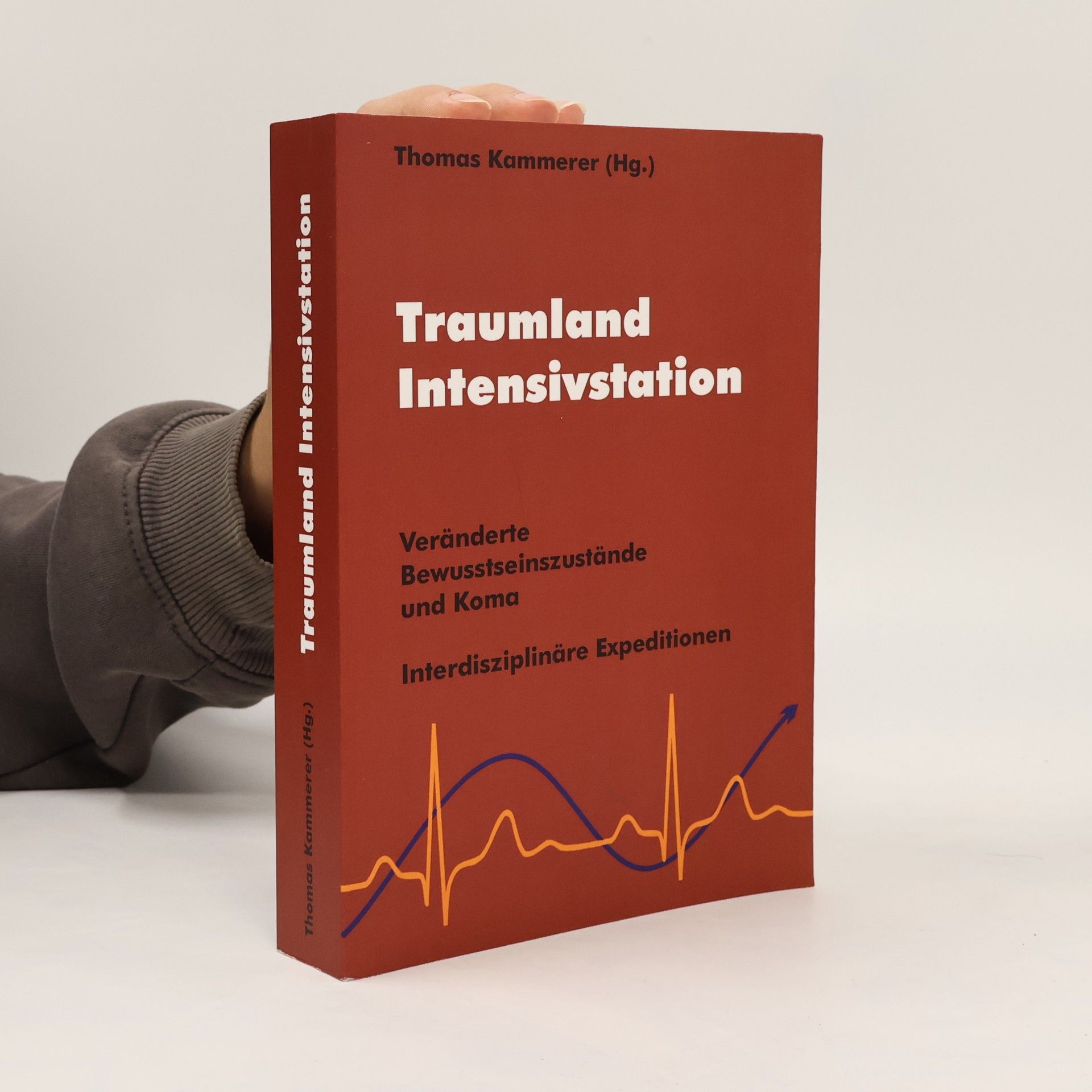 Thomas Kammerer Traumland Intensivstation
