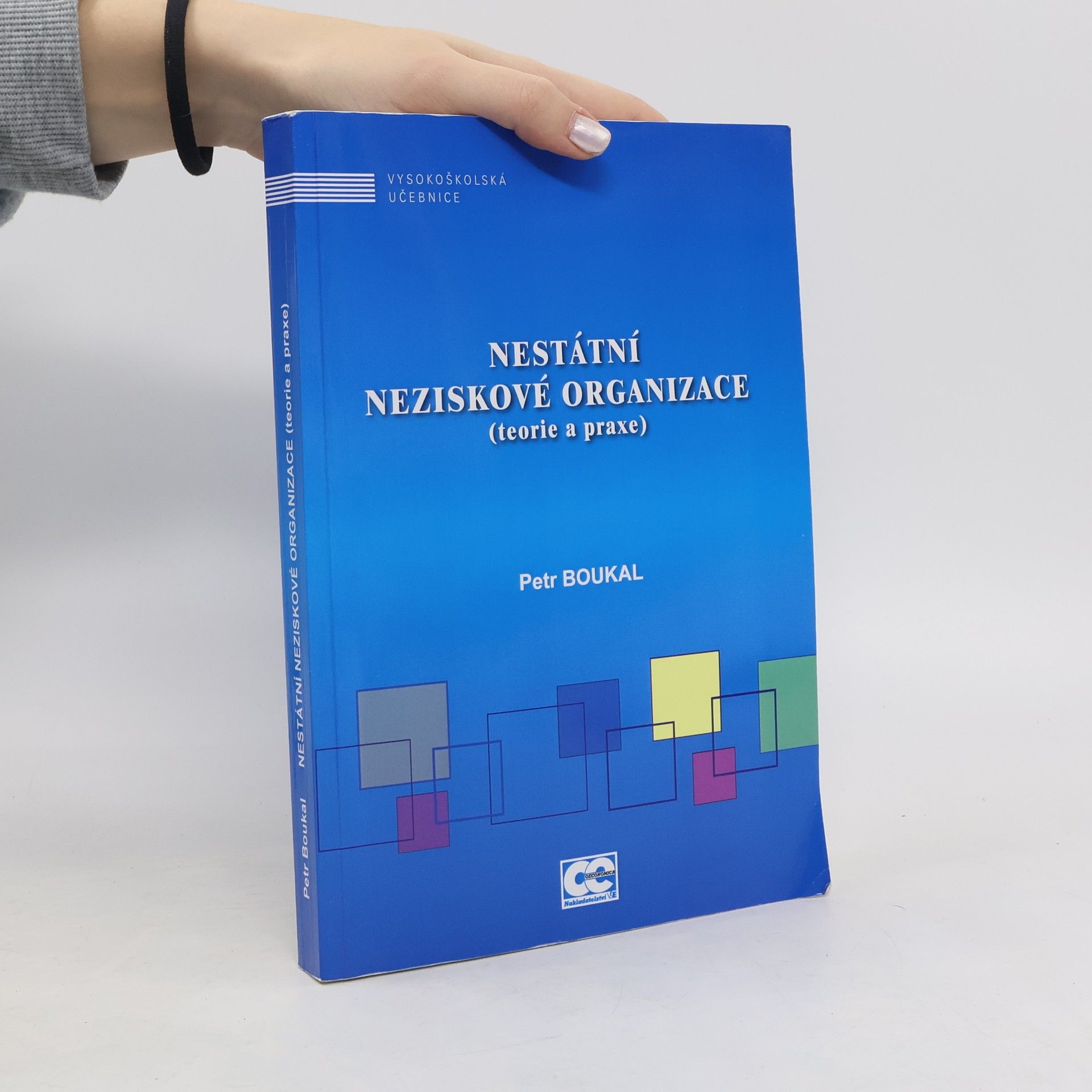 Nestátní neziskové organizace (teorie a praxe)