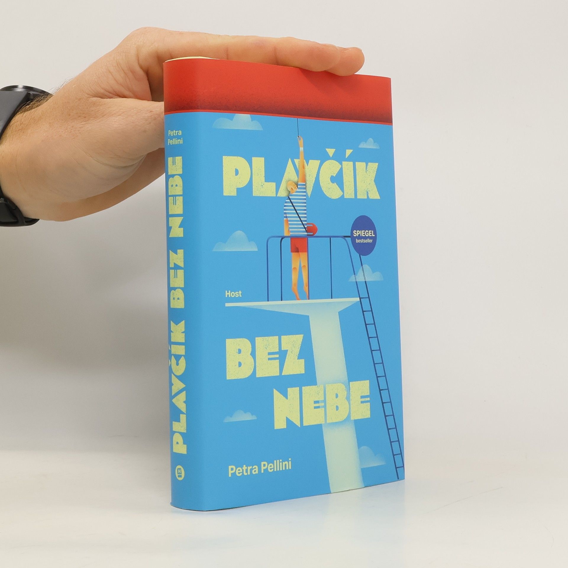 Petra Pellini Plavčík bez nebe