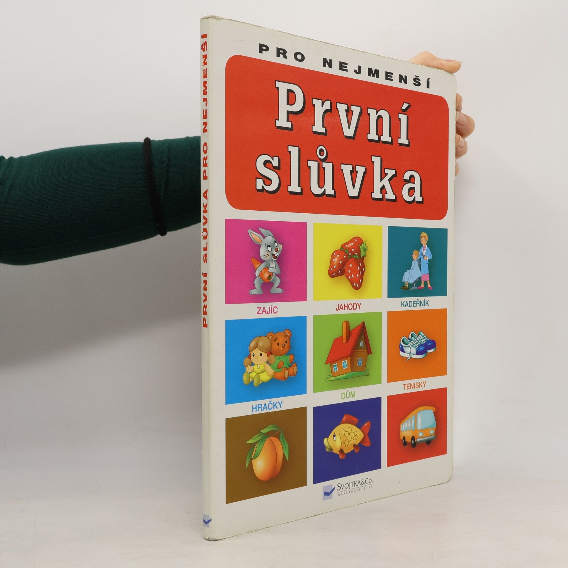 Jiří Dvořák První slůvka