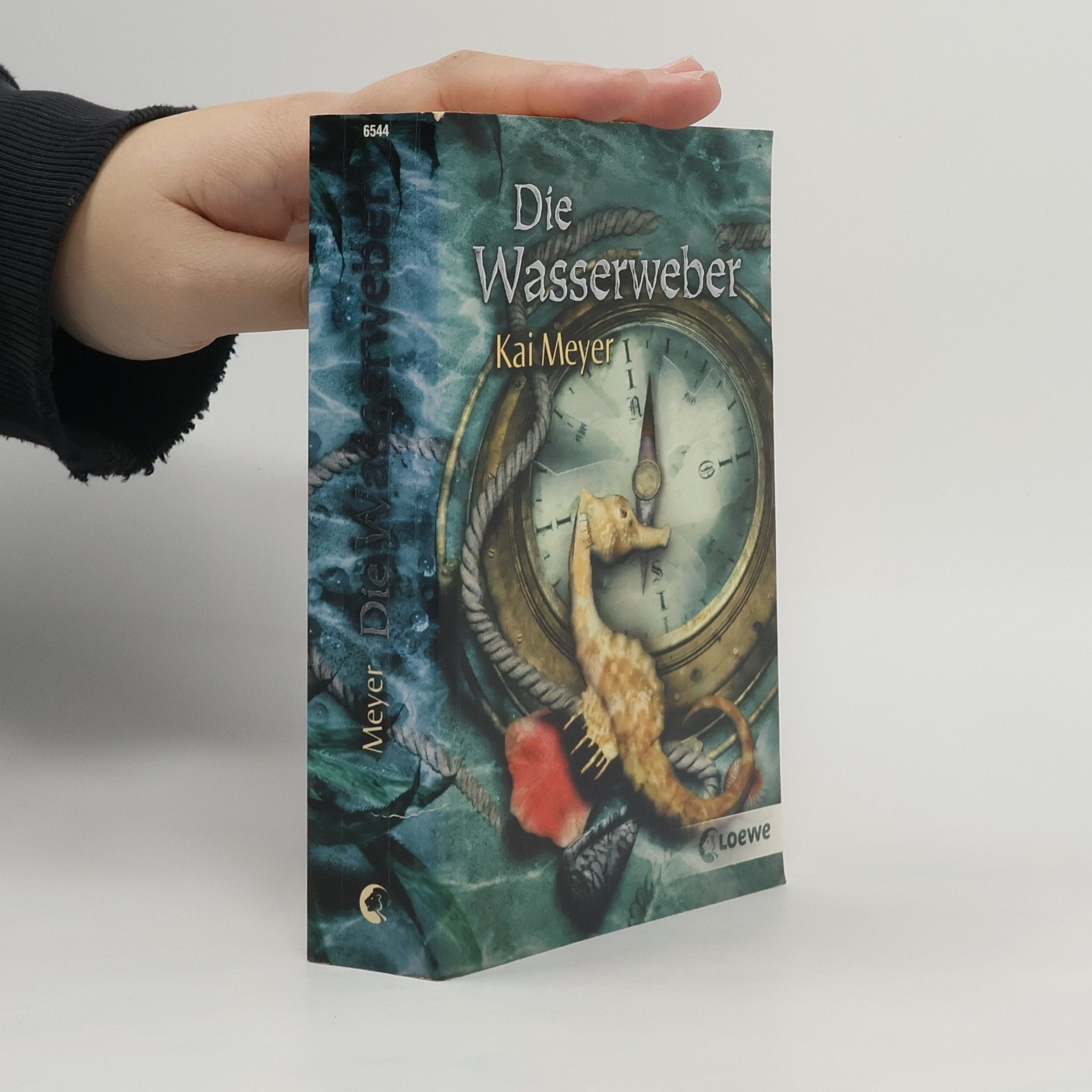 Kai Meyer Die Wasserweber