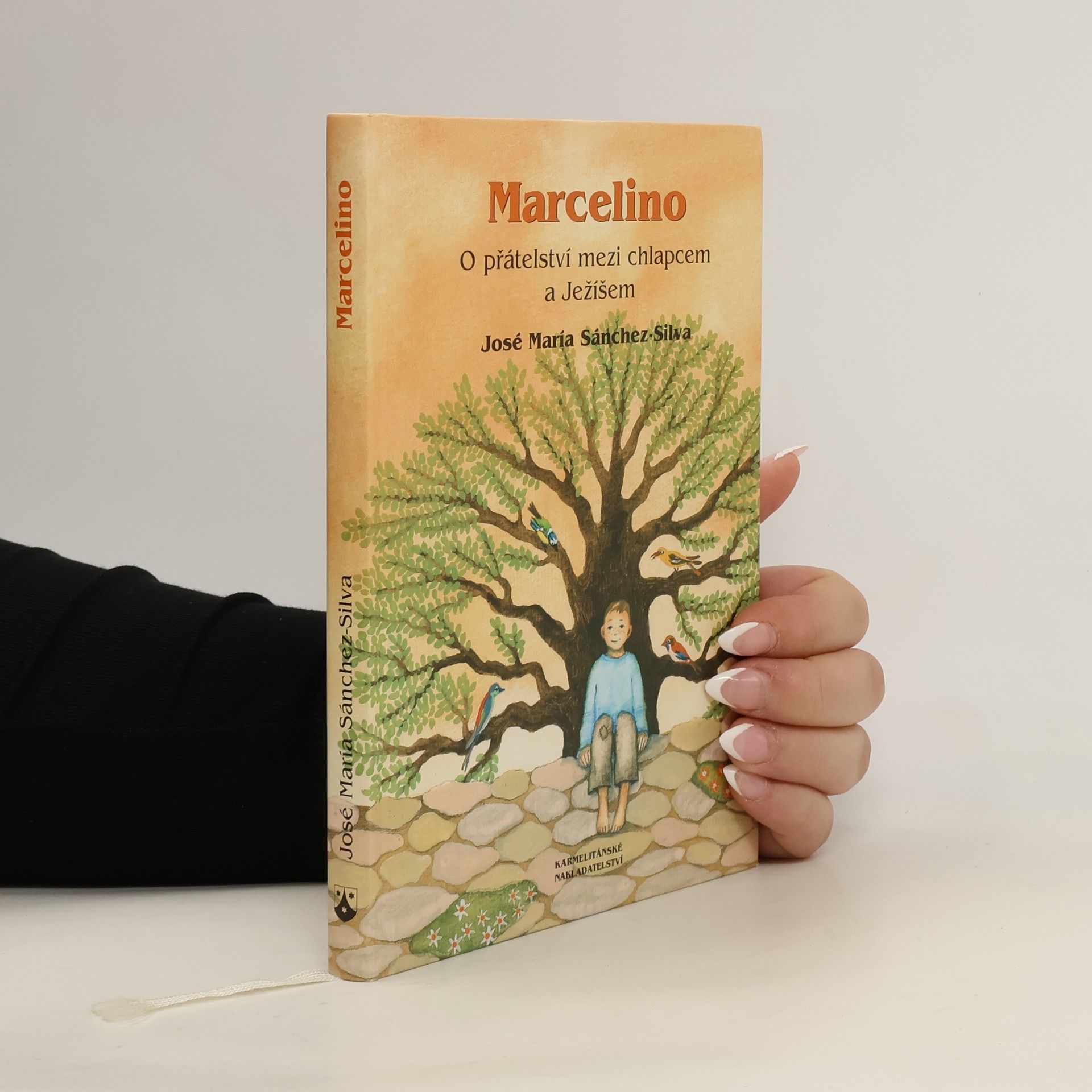 José María Sánchez-Silva Marcelino