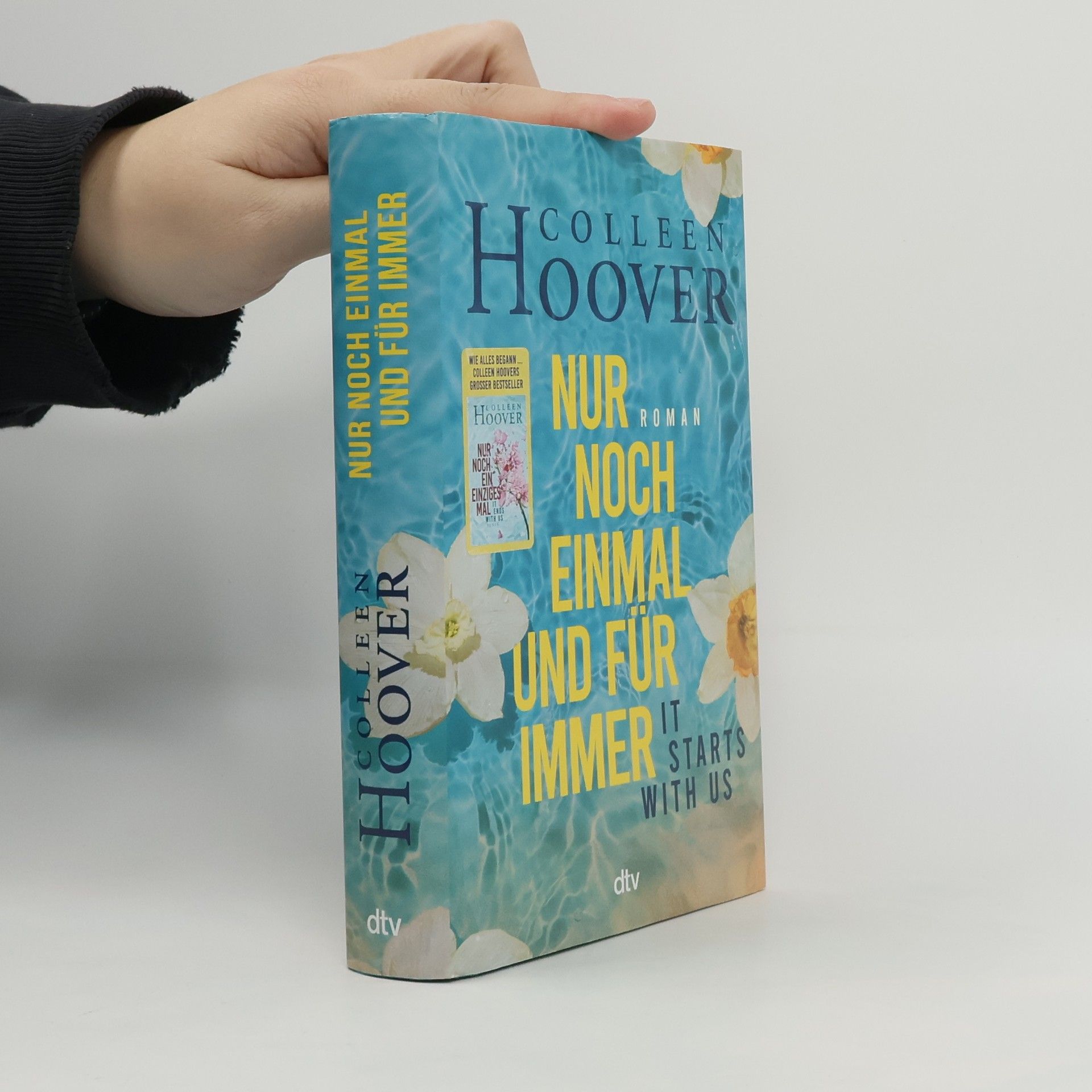 Colleen Hoover Nur noch einmal und für immer